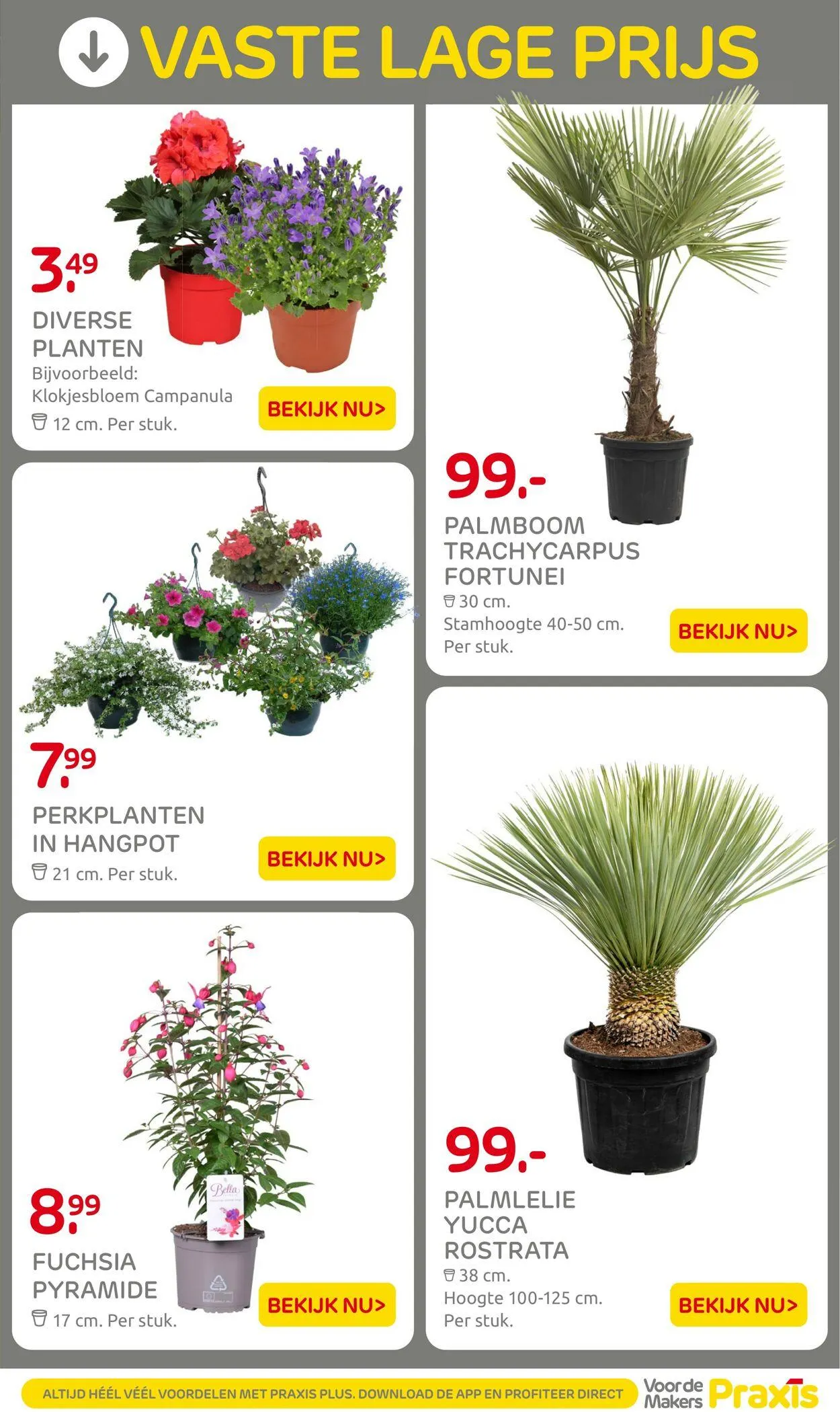 Praxis Actuele folder van 10 september tot 24 september 2025 - Folder pagina 13
