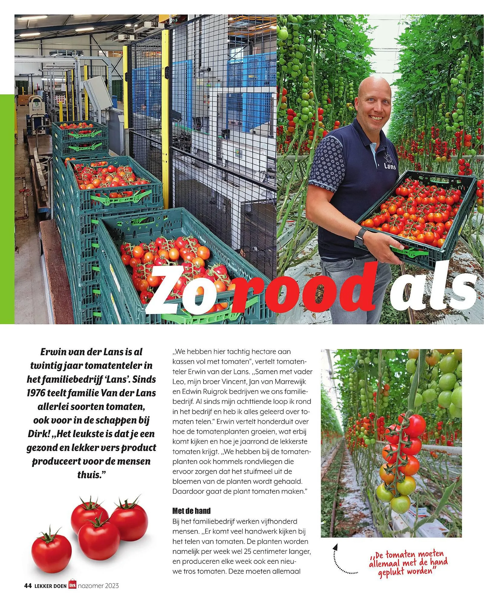 Dirk nazomer magazine van 1 september tot 30 september 2023 - Folder pagina 42