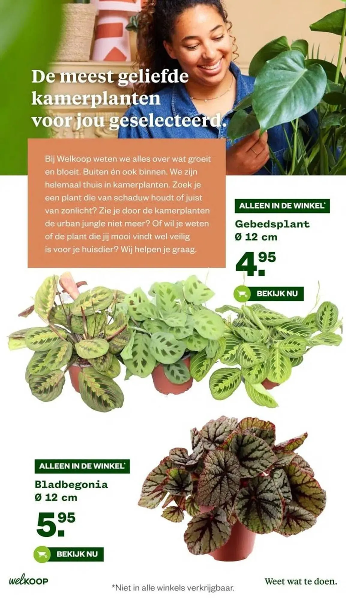 Welkoop folder van 27 oktober tot 2 november 2025 - Folder pagina 12