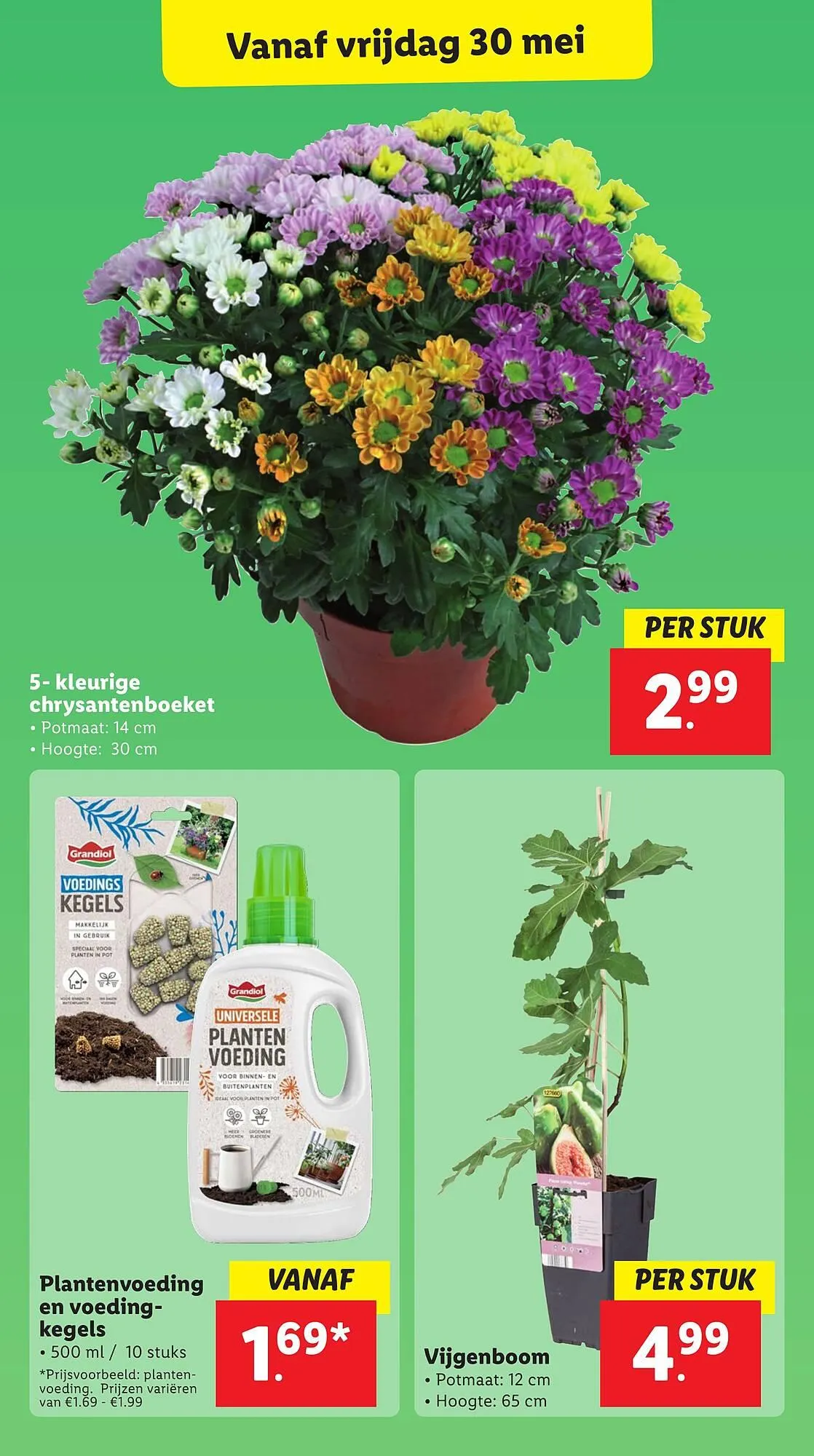 Lidl folder van 26 mei tot 1 juni 2025 - Folder pagina 51