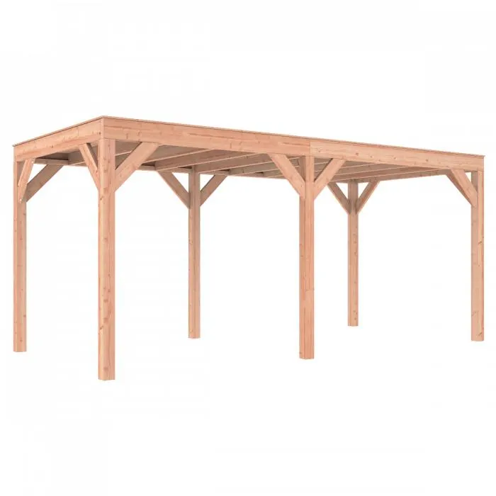 Outdoor Life Douglas Overkapping 550x250 A-Sym/2