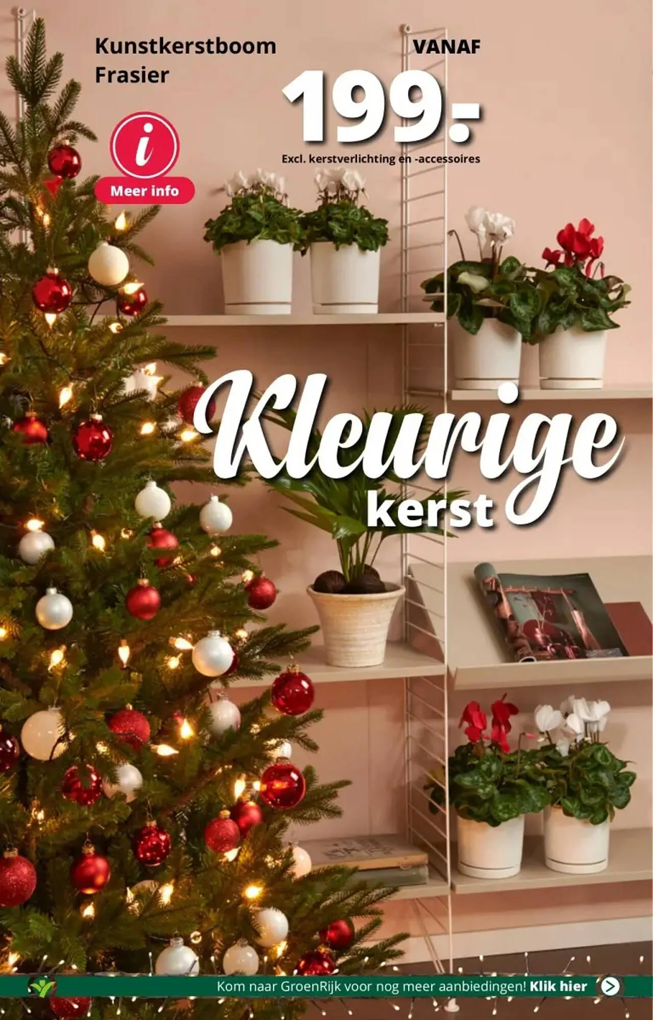 GroenRijk folder van 29 november tot 5 december 2023 - Folder pagina 4