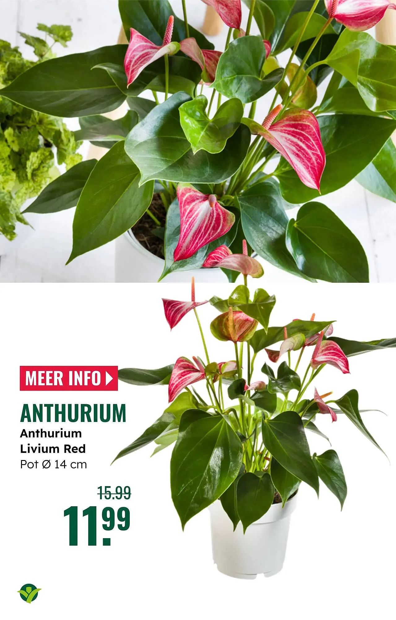 GroenRijk folder van 16 april tot 29 april 2025 - Folder pagina 18