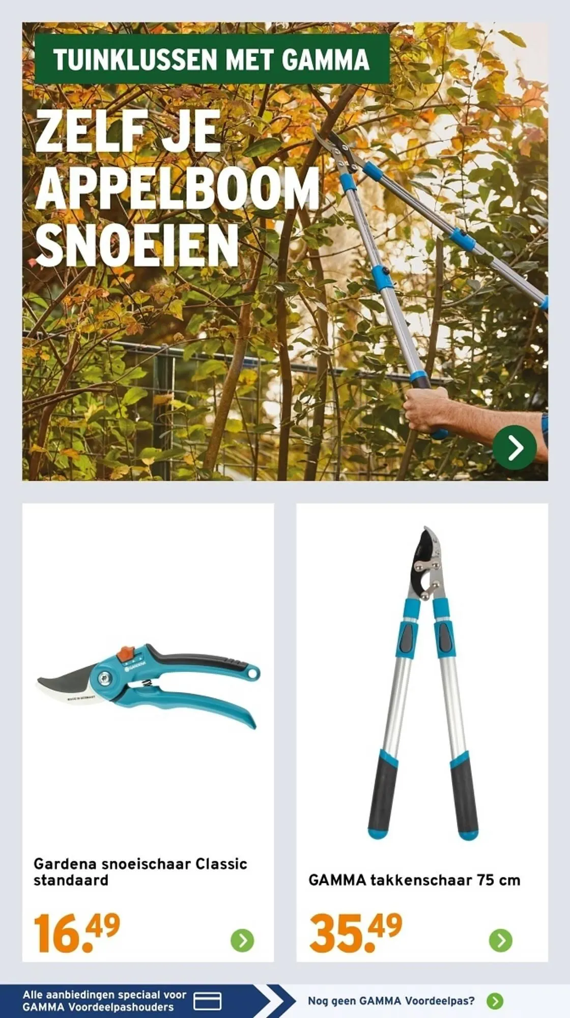 GAMMA folder van 17 februari tot 23 februari 2025 - Folder pagina 13