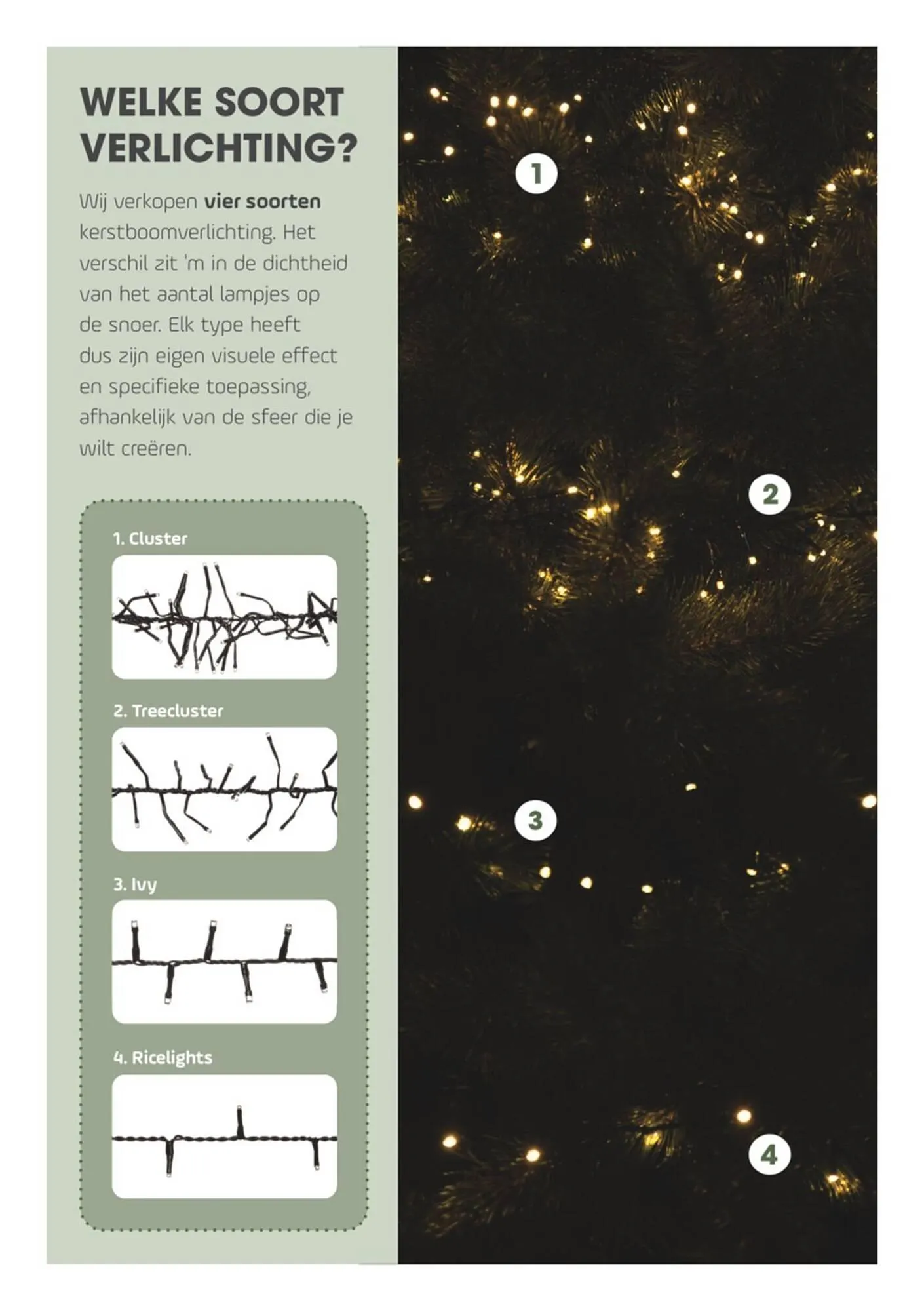 Coppelmans folder van 18 november tot 24 december 2025 - Folder pagina 5