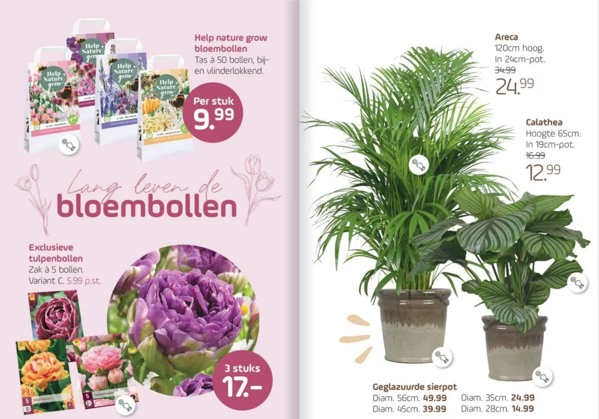 Coppelmans folder van 24 september tot 5 oktober 2025 - Folder pagina 5