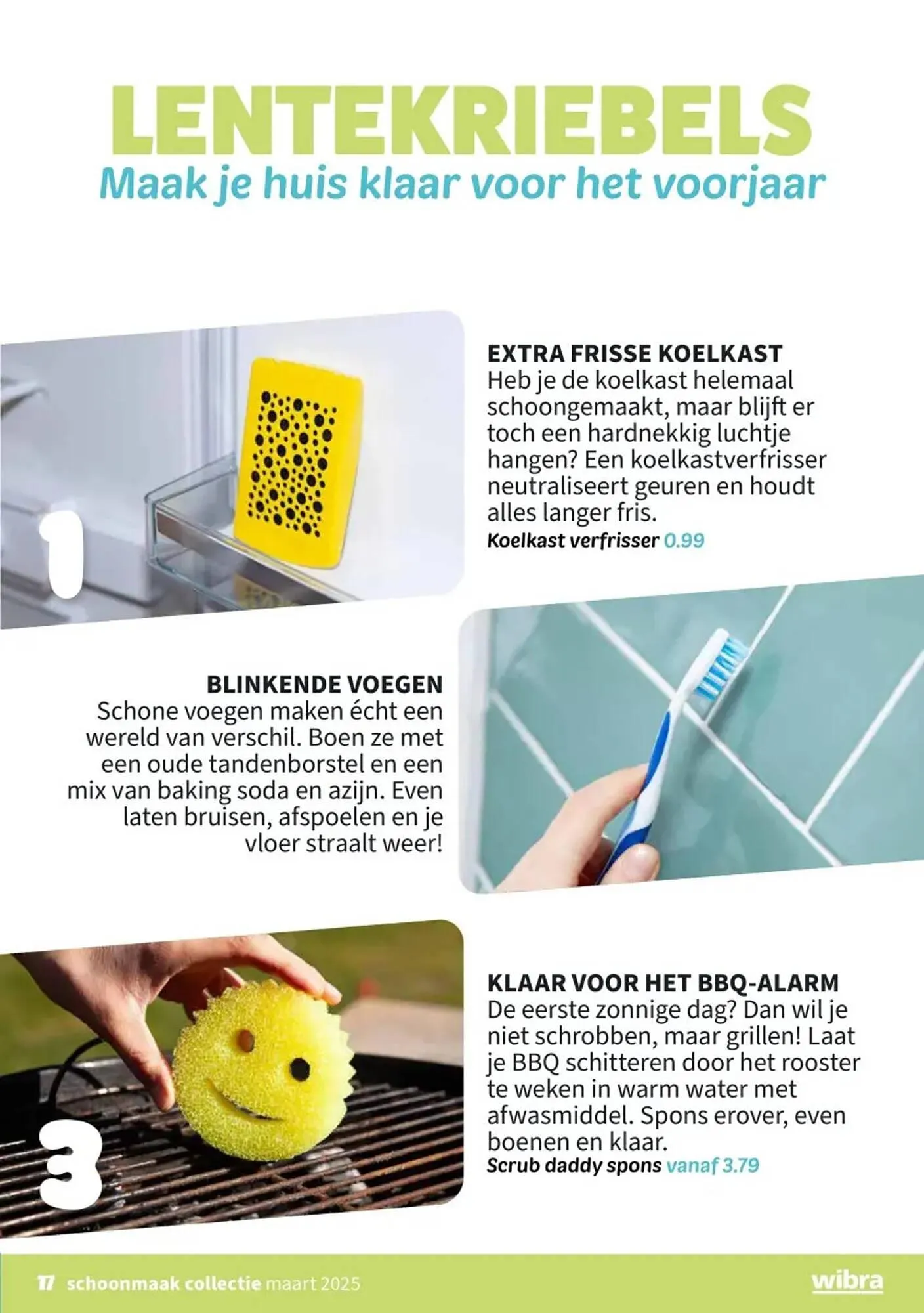 Wibra folder van 24 maart tot 6 april 2025 - Folder pagina 17