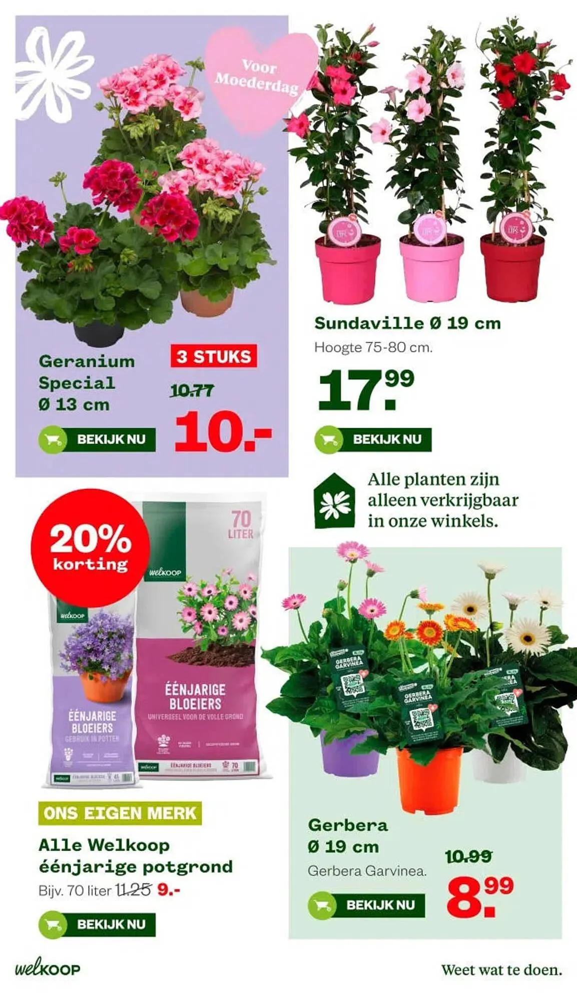 Welkoop folder van 4 mei tot 10 juni 2026 - Folder pagina 2