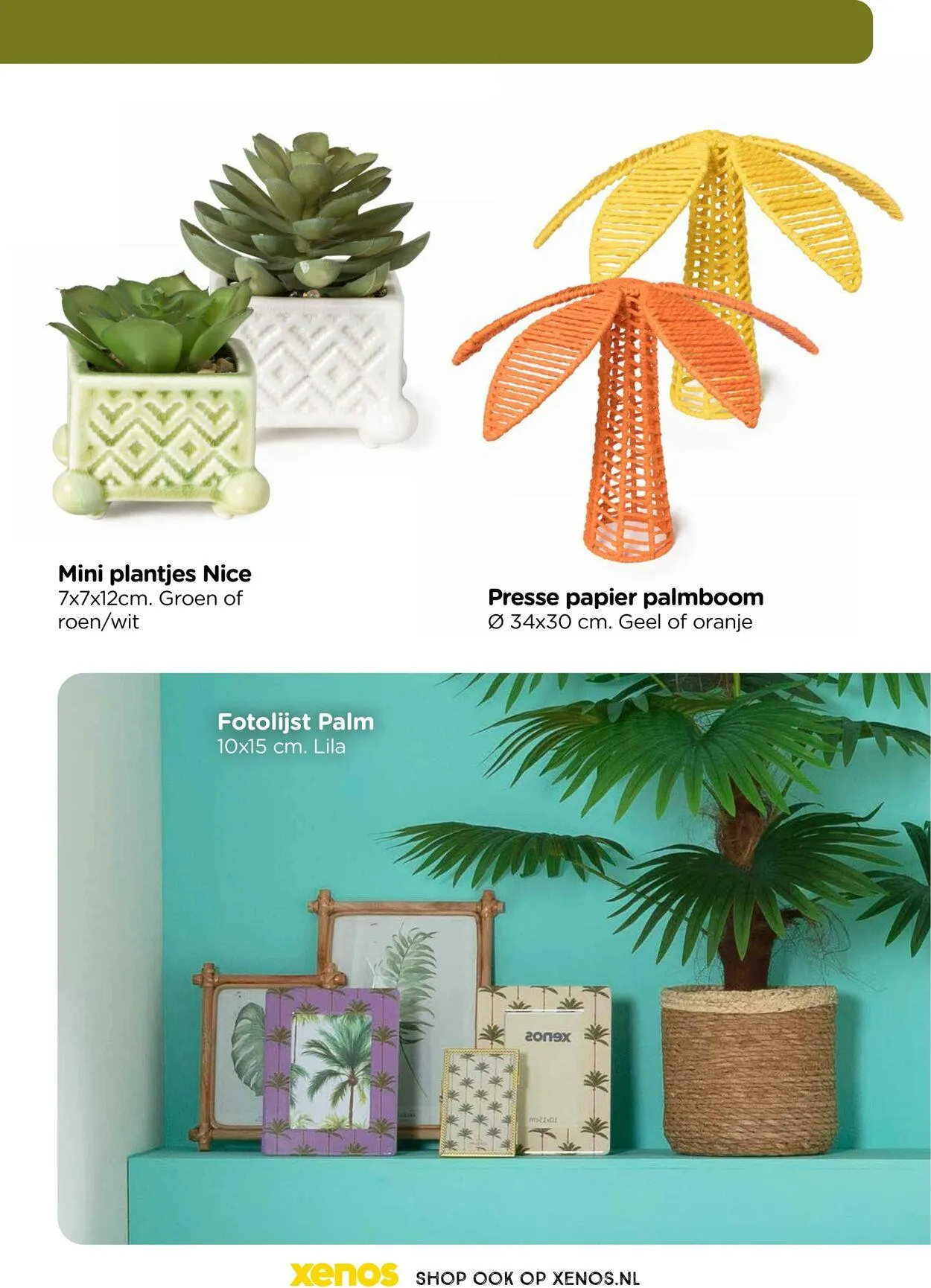 Xenos van 27 januari tot 27 maart 2025 - Folder pagina 31