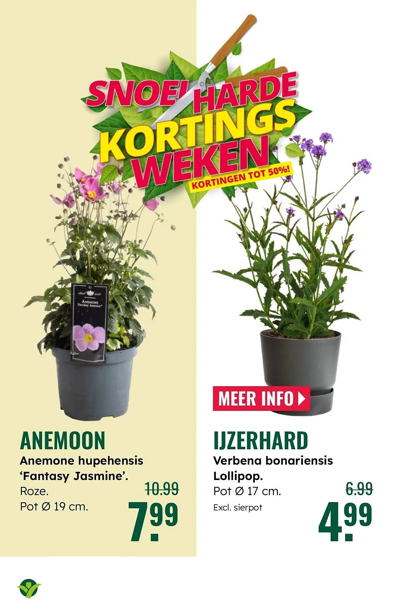 GroenRijk folder van 30 juli tot 12 augustus 2025 - Folder pagina 14