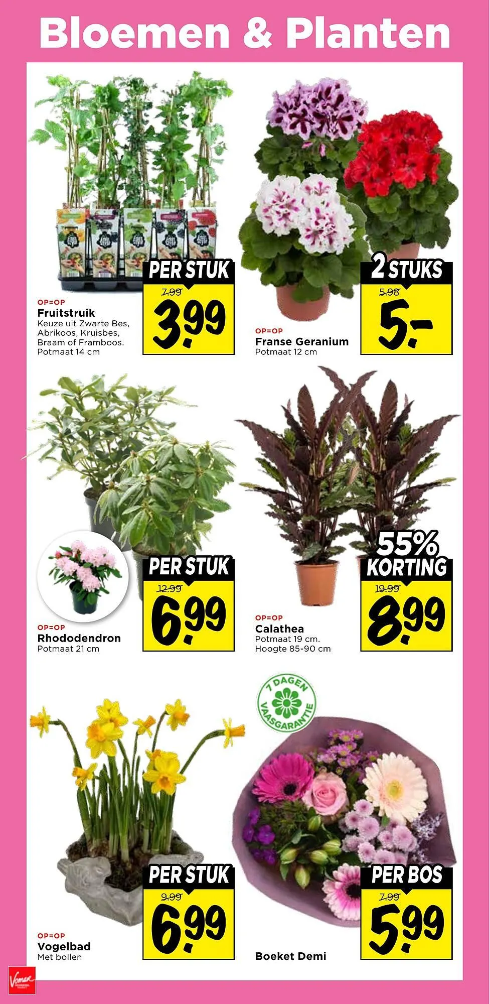 Vomar Voordeelmarkt folder van 1 maart tot 7 maart 2026 - Folder pagina 32