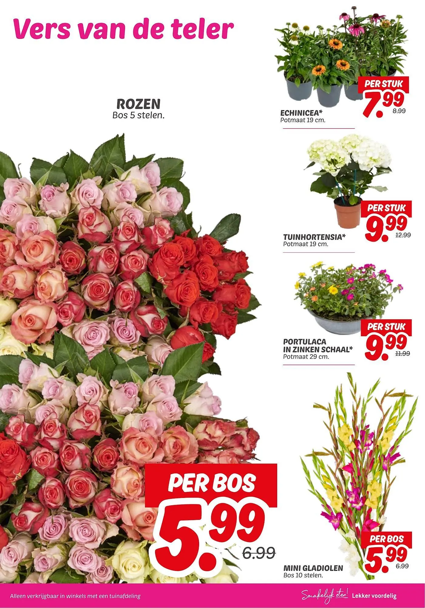 Dekamarkt folder van 15 juli tot 21 juli 2025 - Folder pagina 21