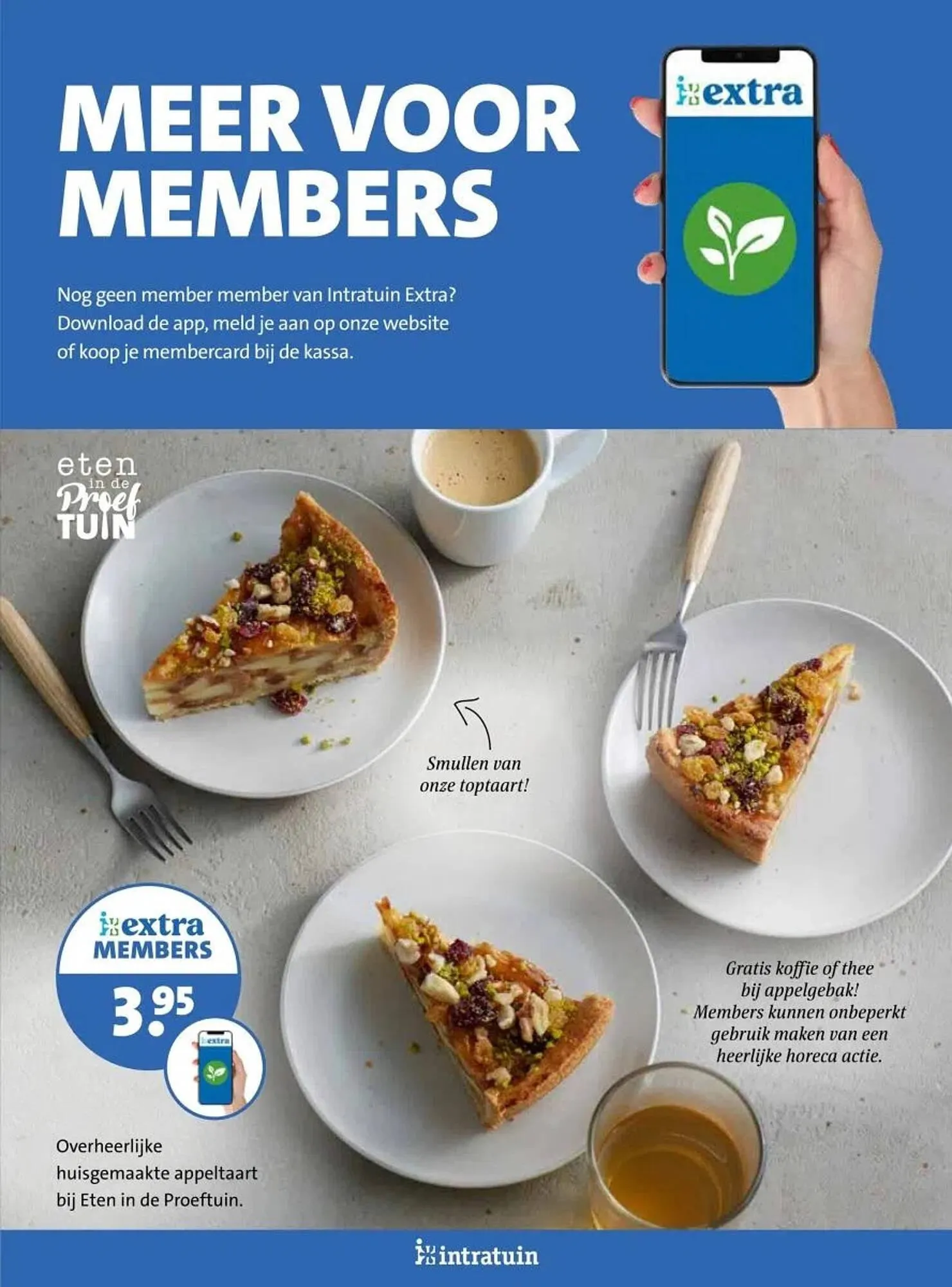 Intratuin folder van 17 februari tot 23 februari 2025 - Folder pagina 19