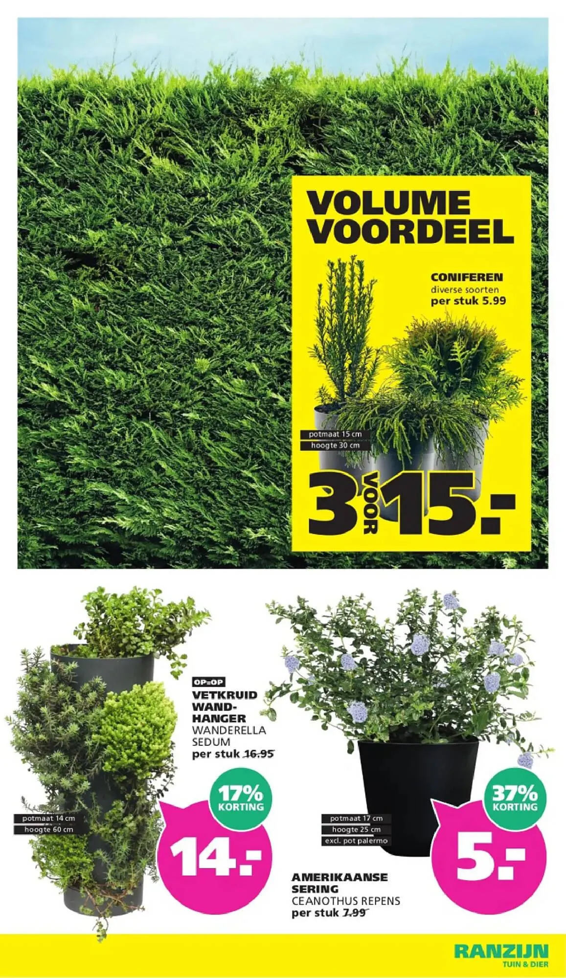 Ranzijn folder van 22 maart tot 28 maart 2026 - Folder pagina 5