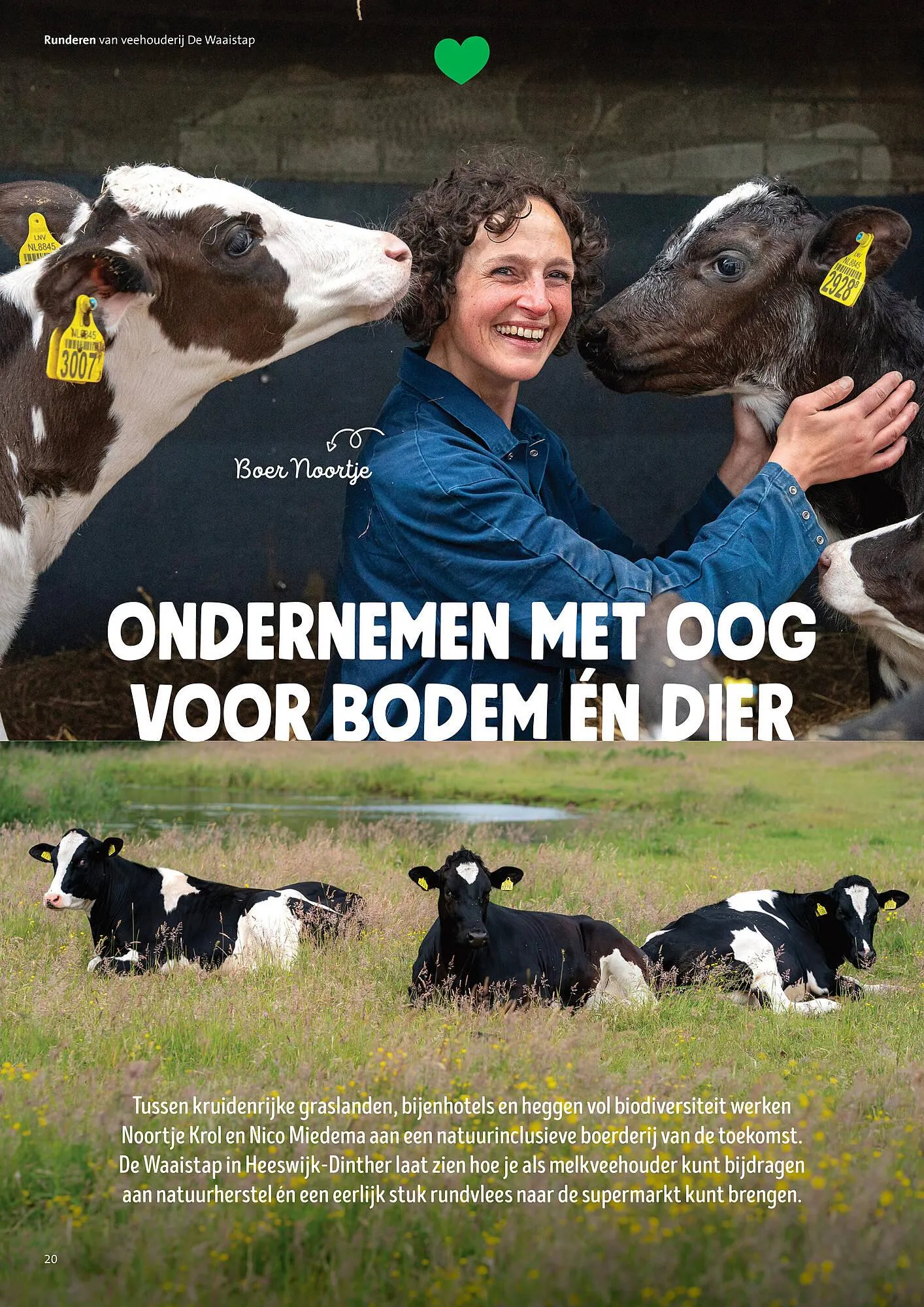 Jumbo folder van 30 juni tot 7 juli 2025 - Folder pagina 20