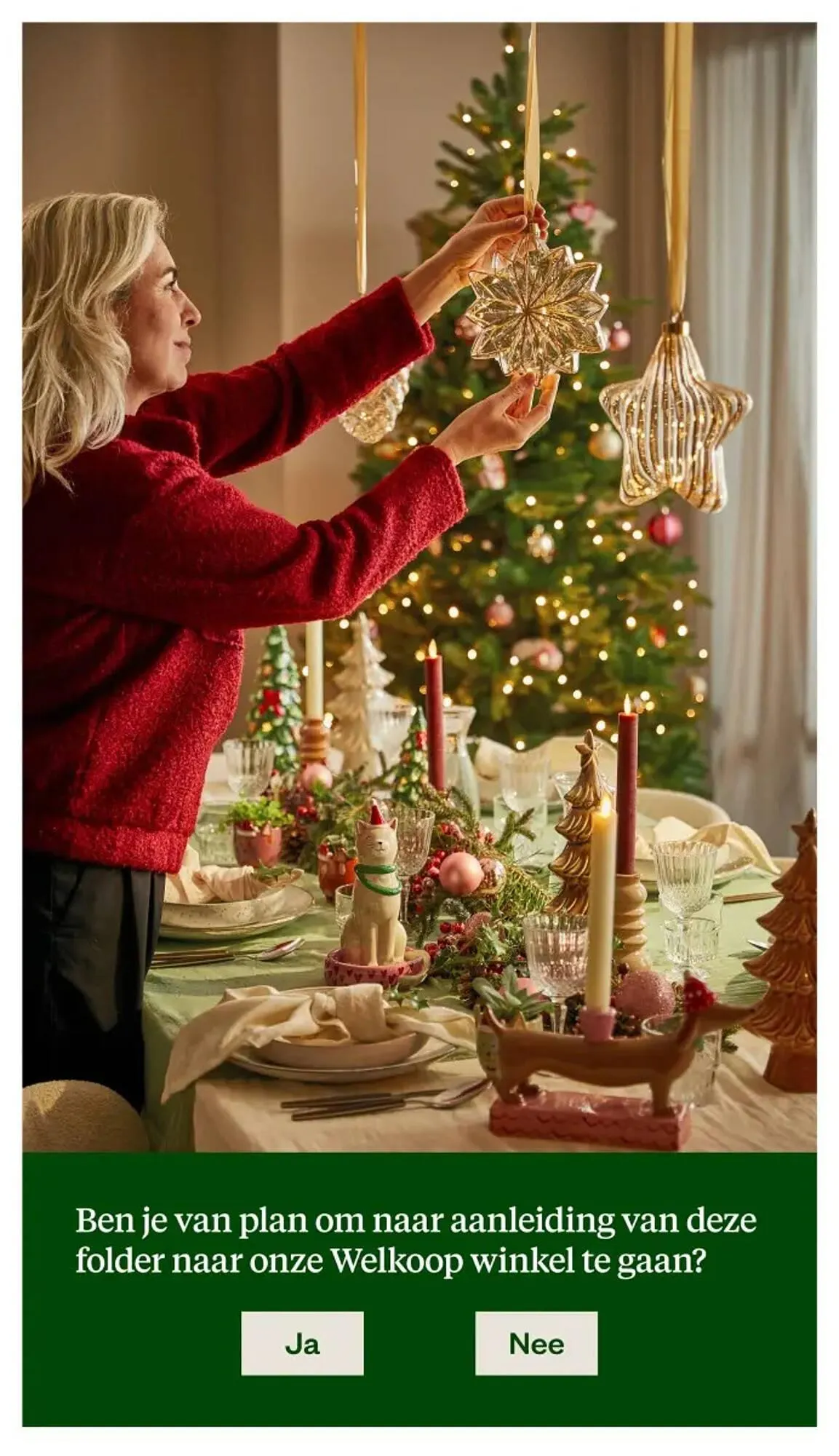 Welkoop folder van 20 oktober tot 9 november 2025 - Folder pagina 41