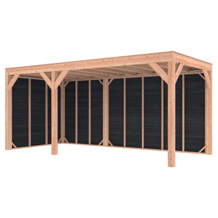 Outdoor Life Douglas Overkapping Z-ZR 550x250 A-Sym/1