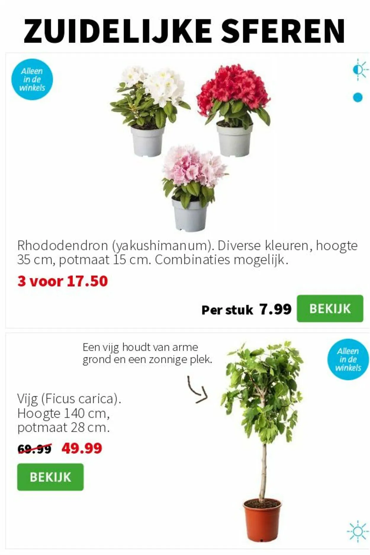 Intratuin van 12 mei tot 18 mei 2025 - Folder pagina 4