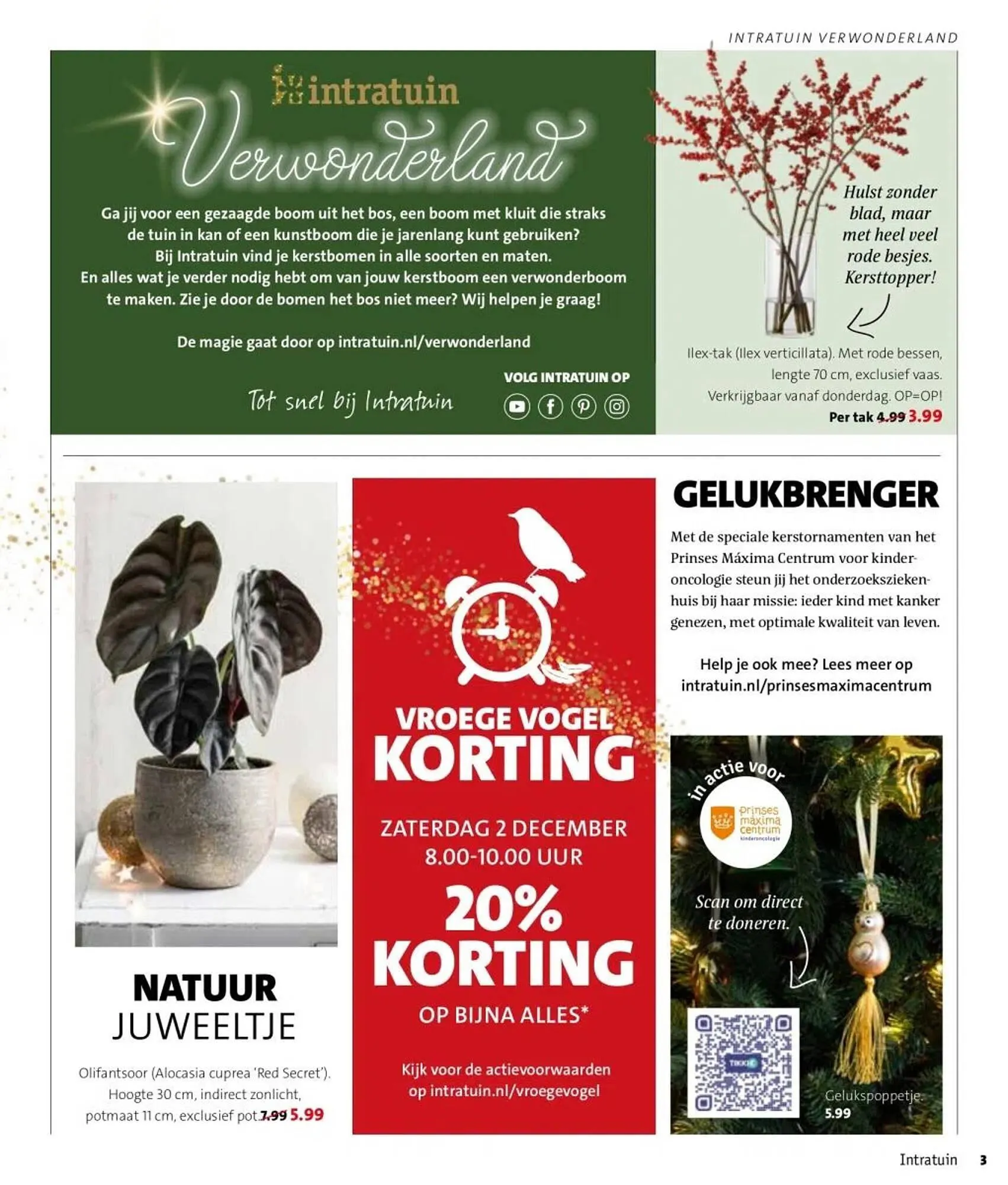 Intratuin folder van 27 november tot 3 december 2023 - Folder pagina 3