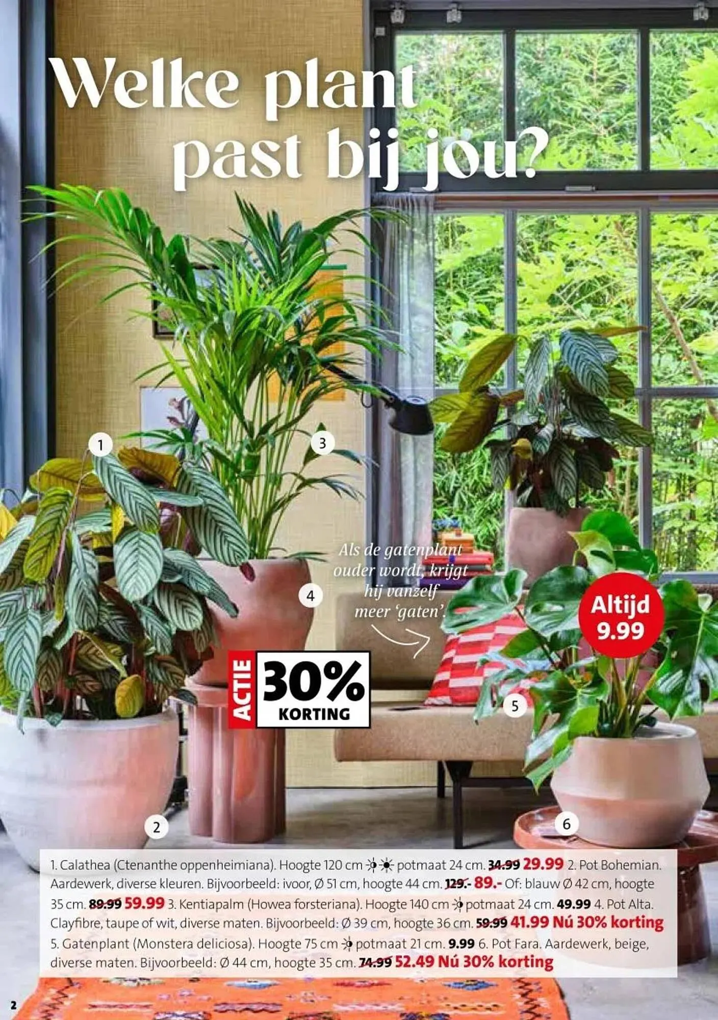 Intratuin folder van 29 december tot 4 januari 2026 - Folder pagina 2