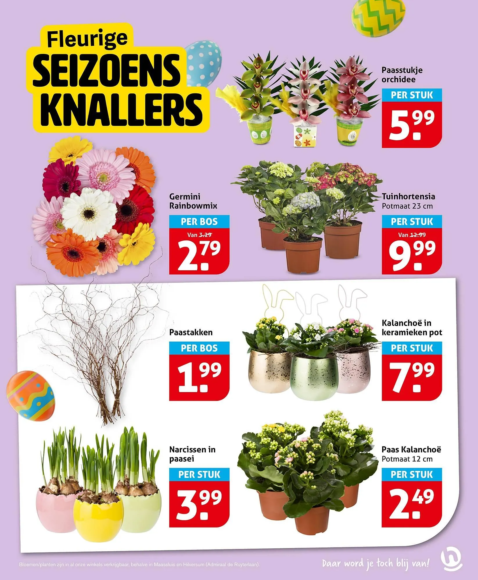 Hoogvliet folder van 25 maart tot 31 maart 2026 - Folder pagina 15