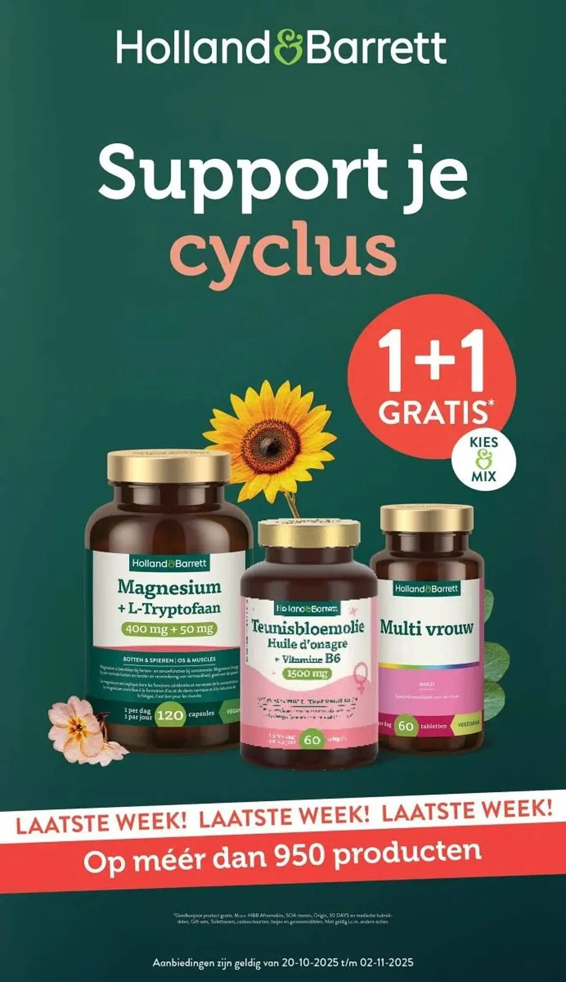 Holland & Barrett folder - 1
