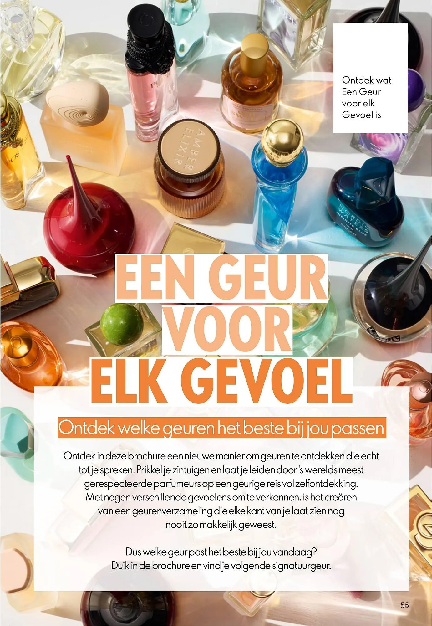 Oriflame brochure van 10 oktober tot 28 oktober 2025 - Folder pagina 55