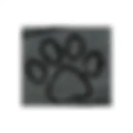 Droogloopmat Hond Grijs