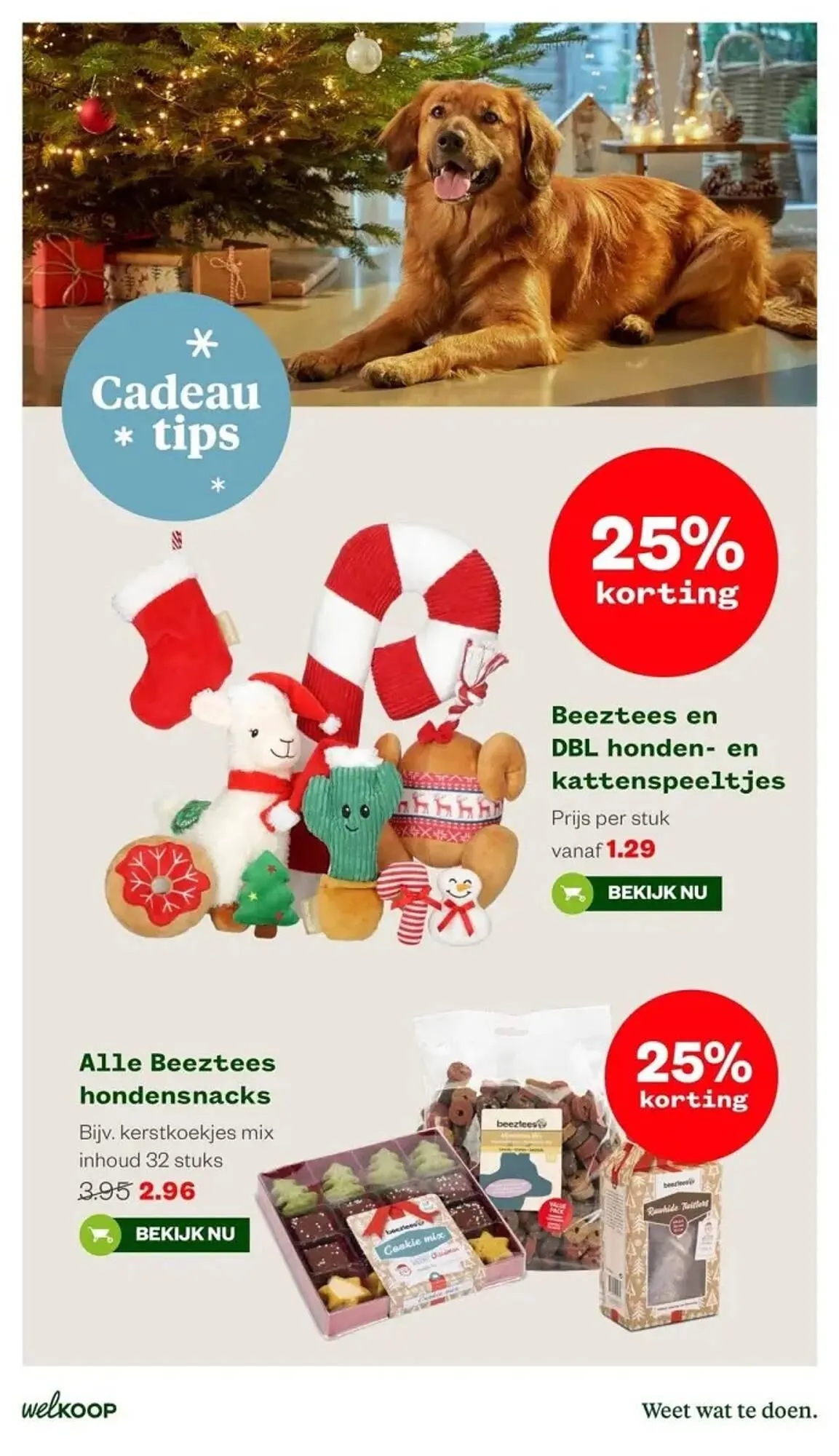 Welkoop folder van 27 november tot 10 december 2023 - Folder pagina 15