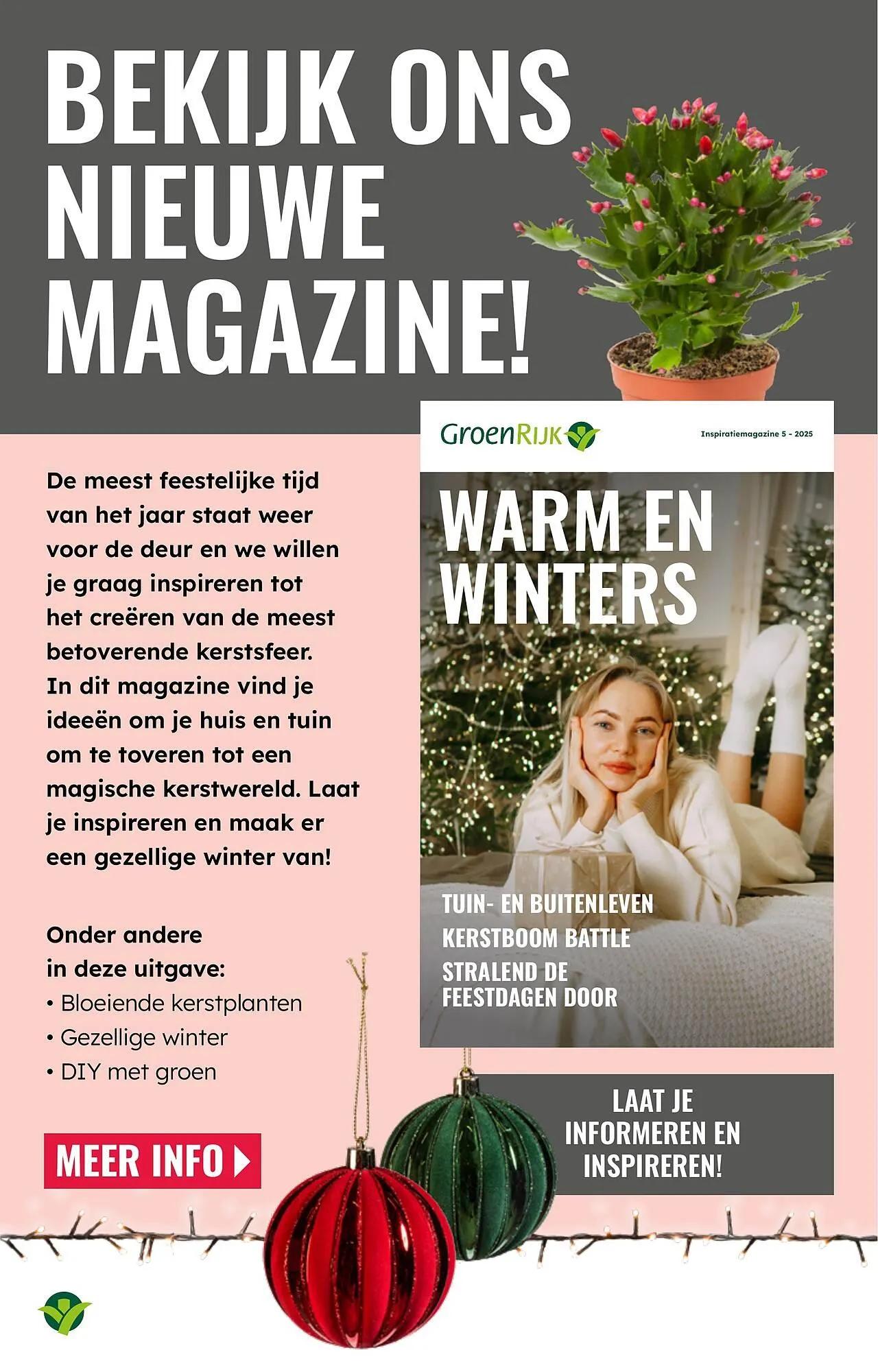 GroenRijk folder van 19 november tot 25 november 2025 - Folder pagina 11