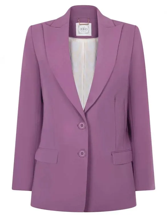 Aaiko Blazer Amilla Vis