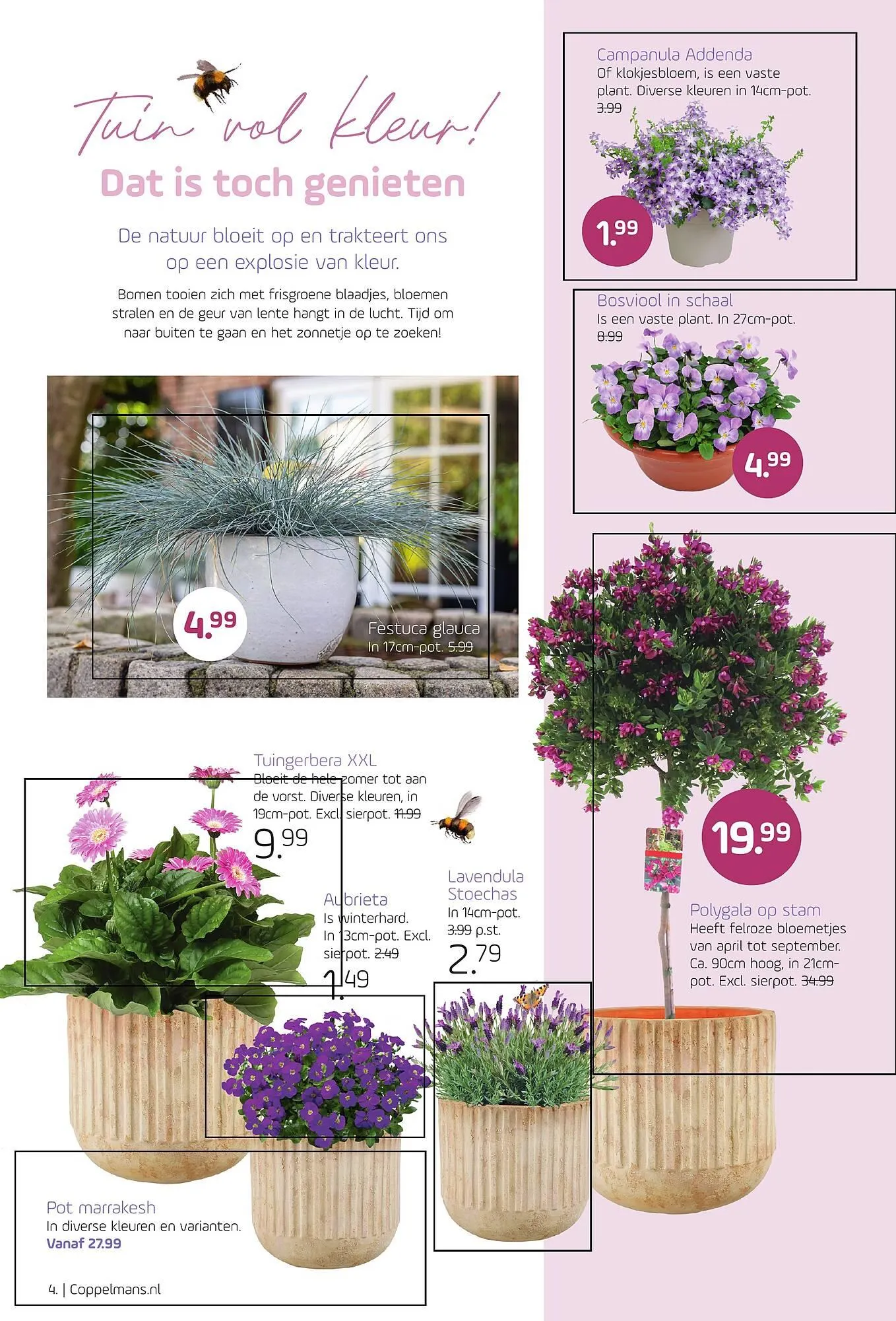 Coppelmans folder van 19 maart tot 30 maart 2025 - Folder pagina 4