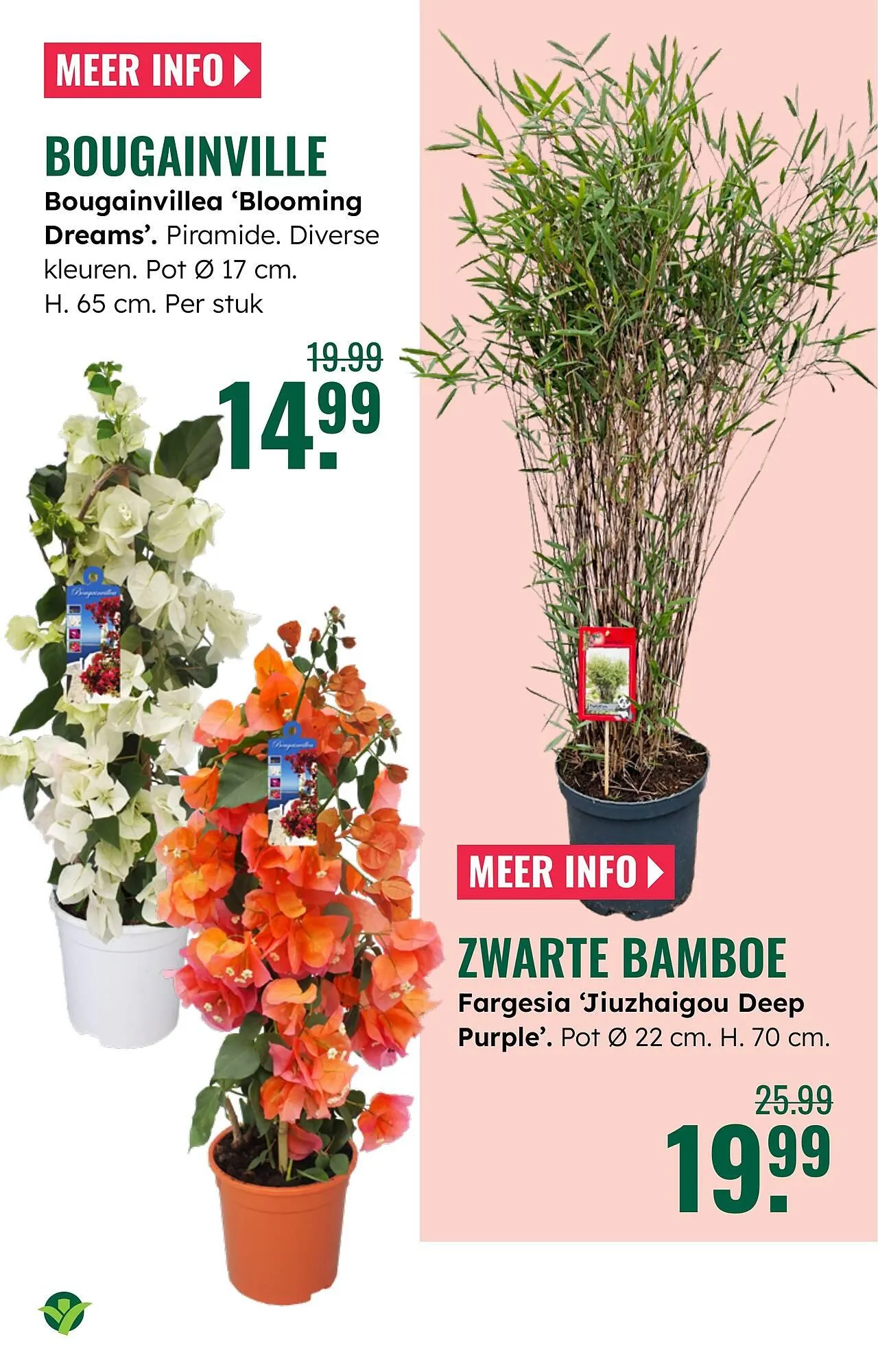 GroenRijk folder van 23 april tot 29 april 2026 - Folder pagina 15