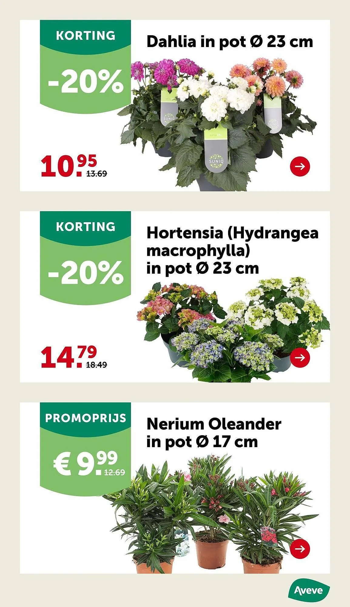 Aveve folder van 25 april tot 4 mei 2025 - Folder pagina 15