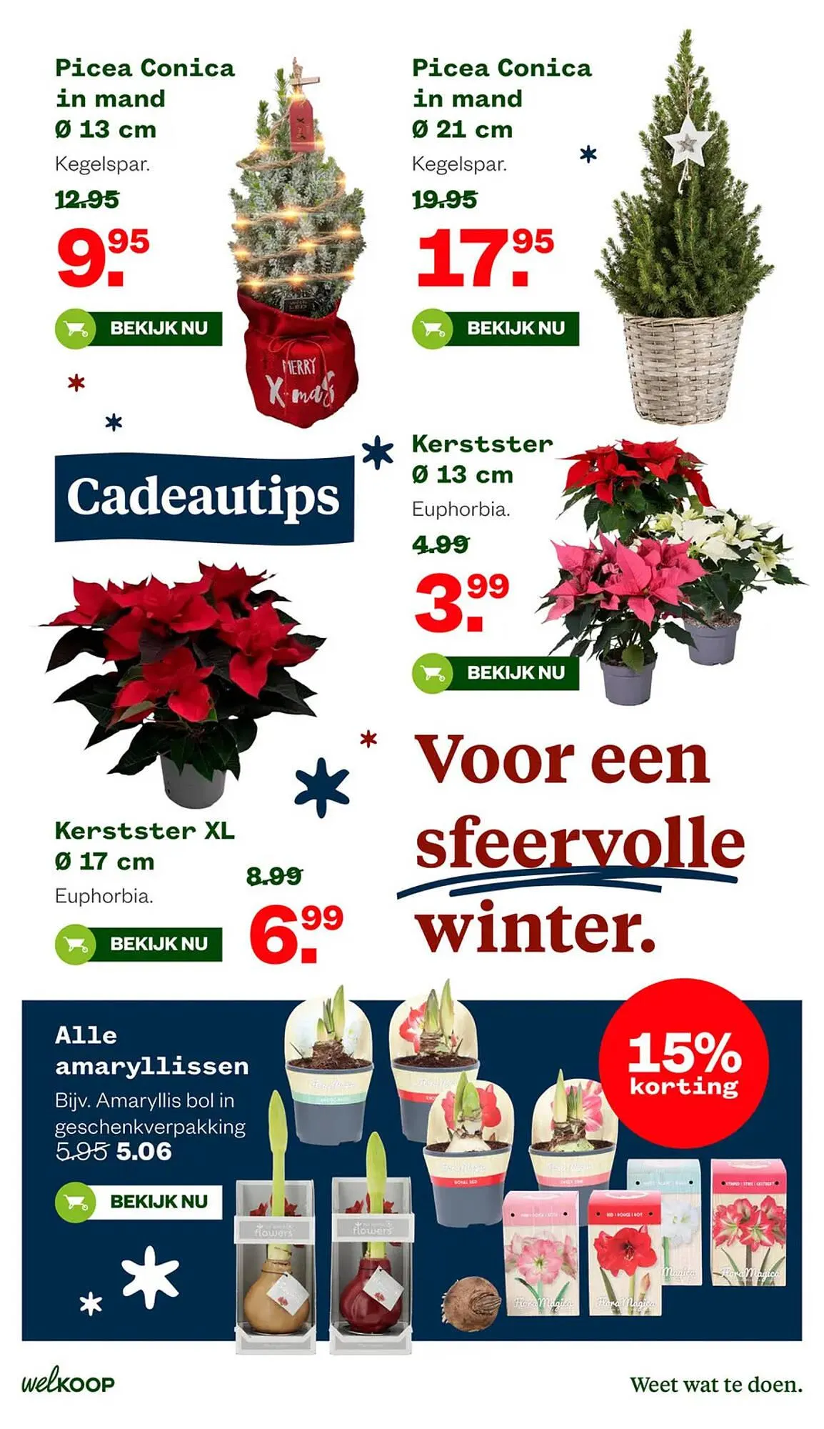 Welkoop folder van 24 november tot 7 december 2025 - Folder pagina 26