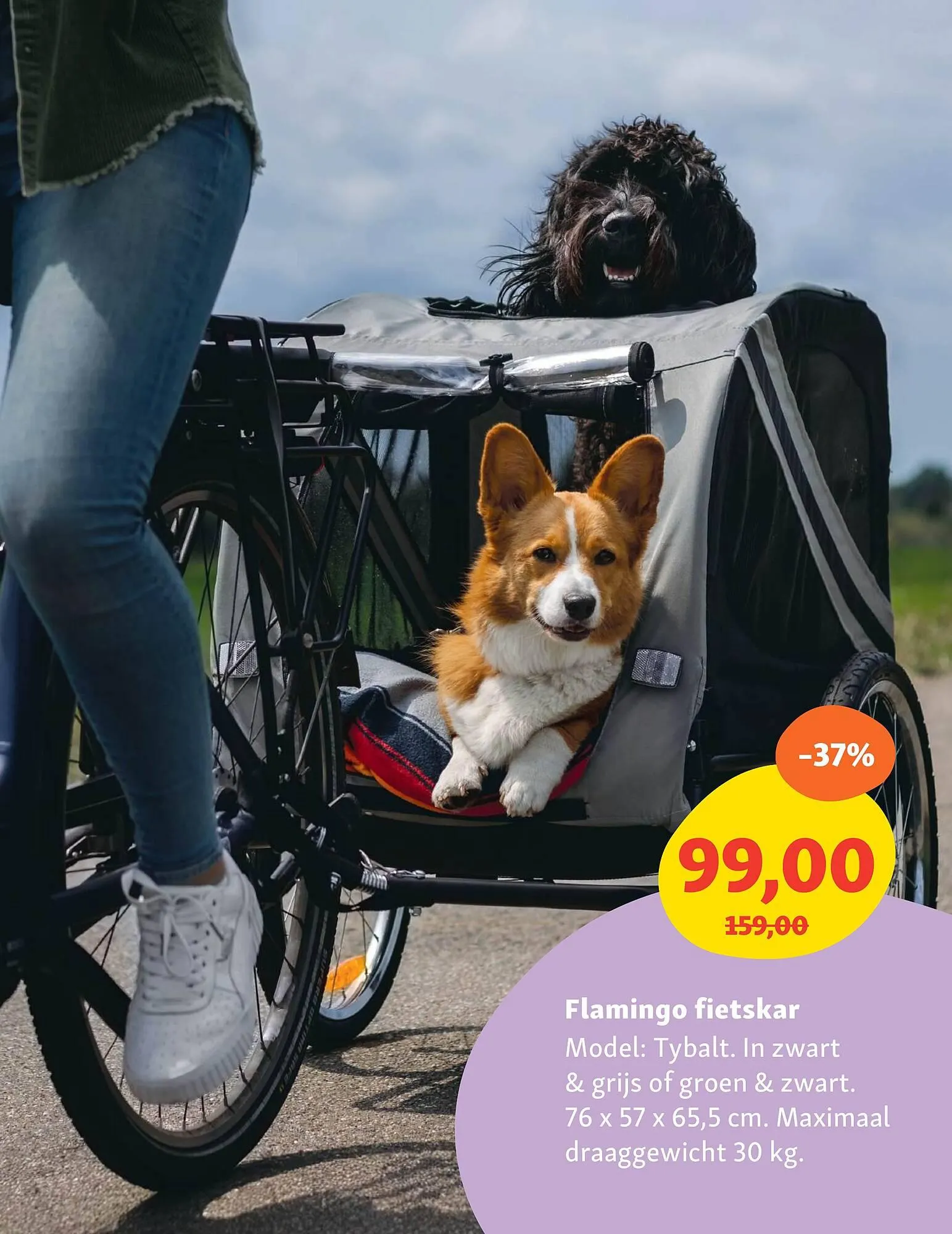 Maxi Zoo folder van 28 april tot 4 mei 2025 - Folder pagina 15