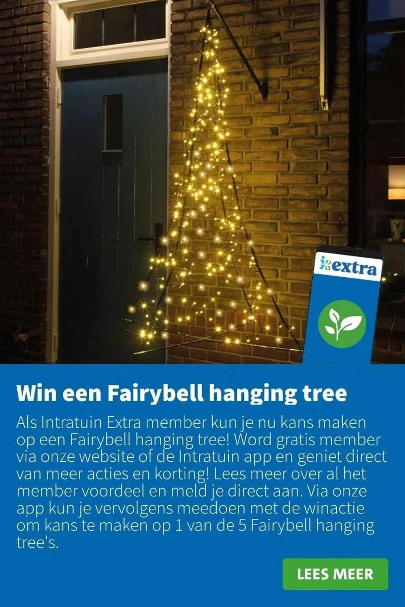 Intratuin folder van 20 november tot 26 november 2023 - Folder pagina 12