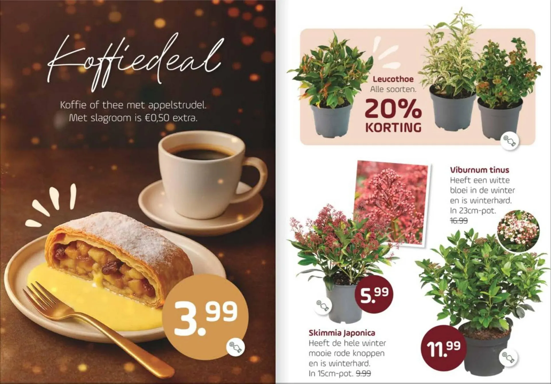 Coppelmans folder van 24 september tot 5 oktober 2025 - Folder pagina 3