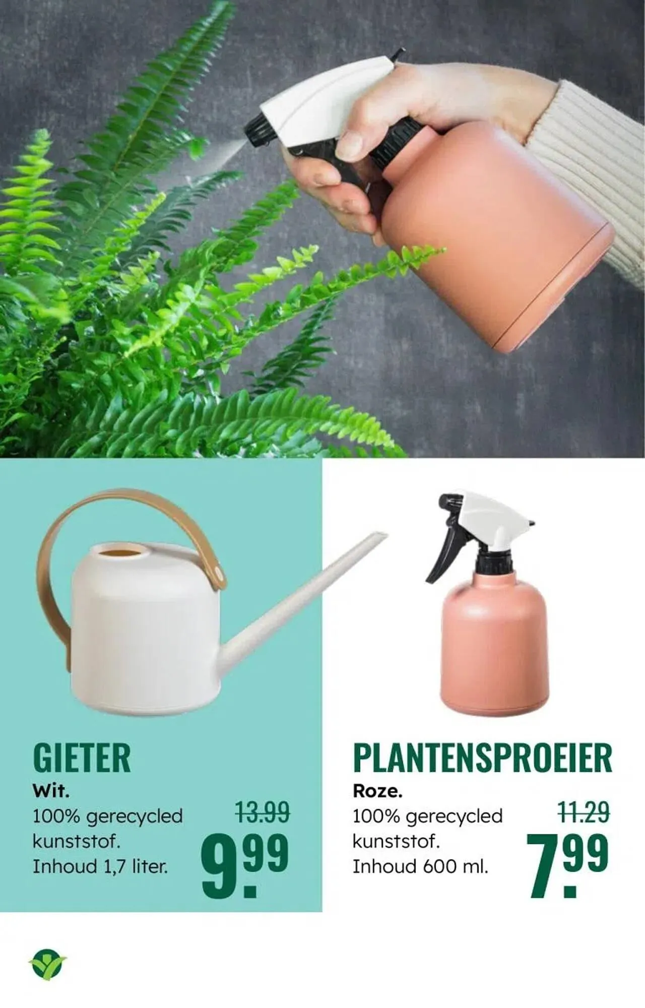 GroenRijk folder van 30 december tot 7 januari 2026 - Folder pagina 11