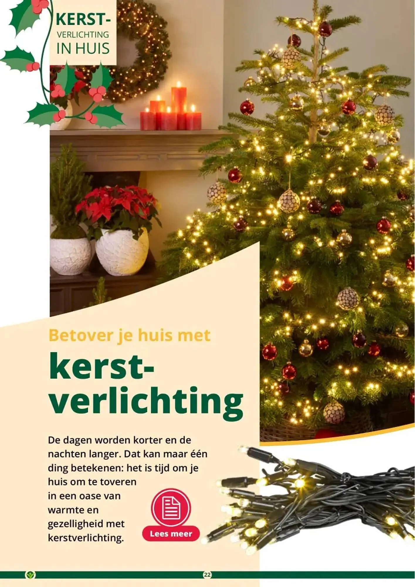 GroenRijk folder van 1 november tot 26 december 2023 - Folder pagina 22