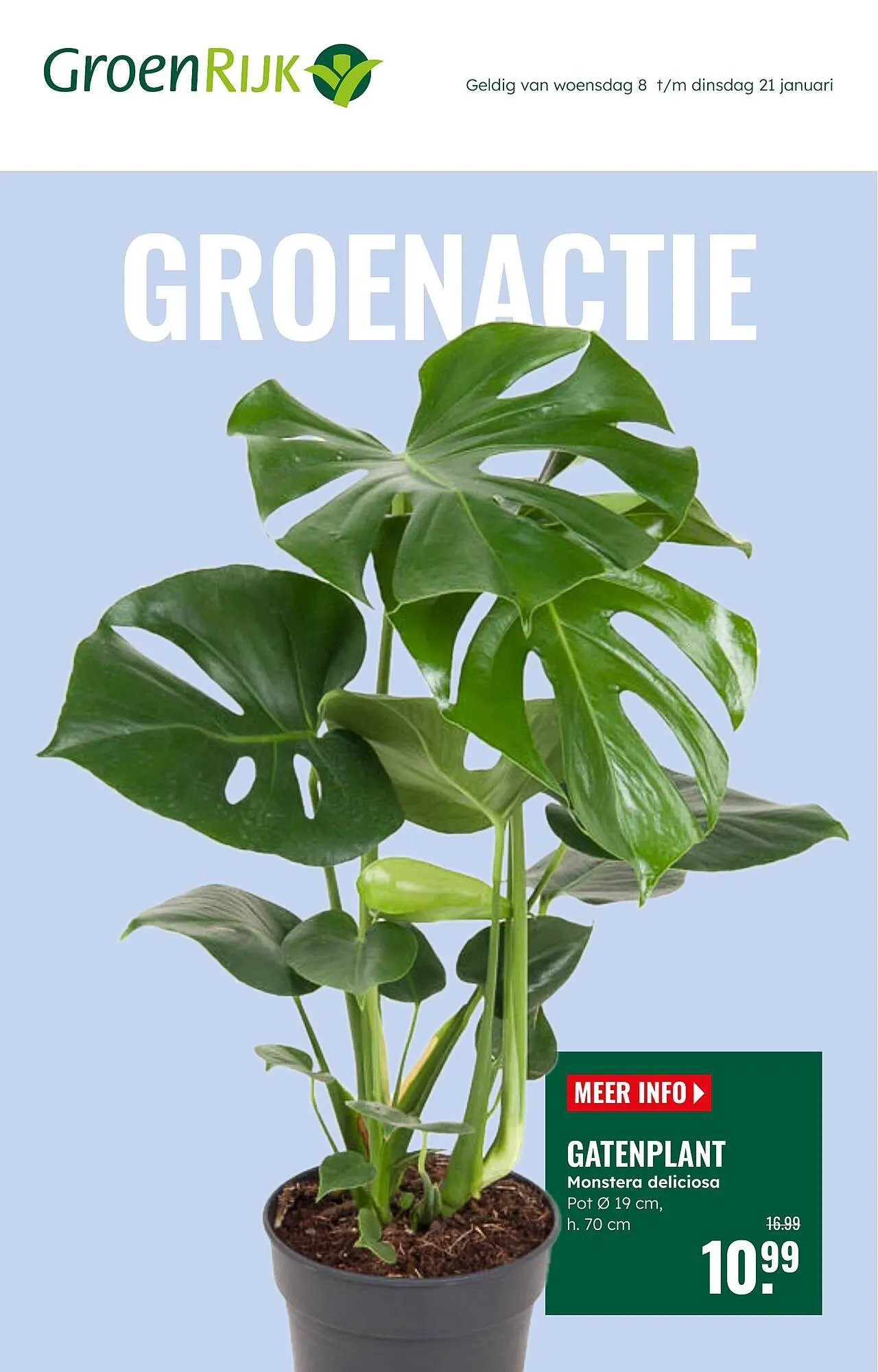 GroenRijk folder van 8 januari tot 21 januari 2025 - Folder pagina 1