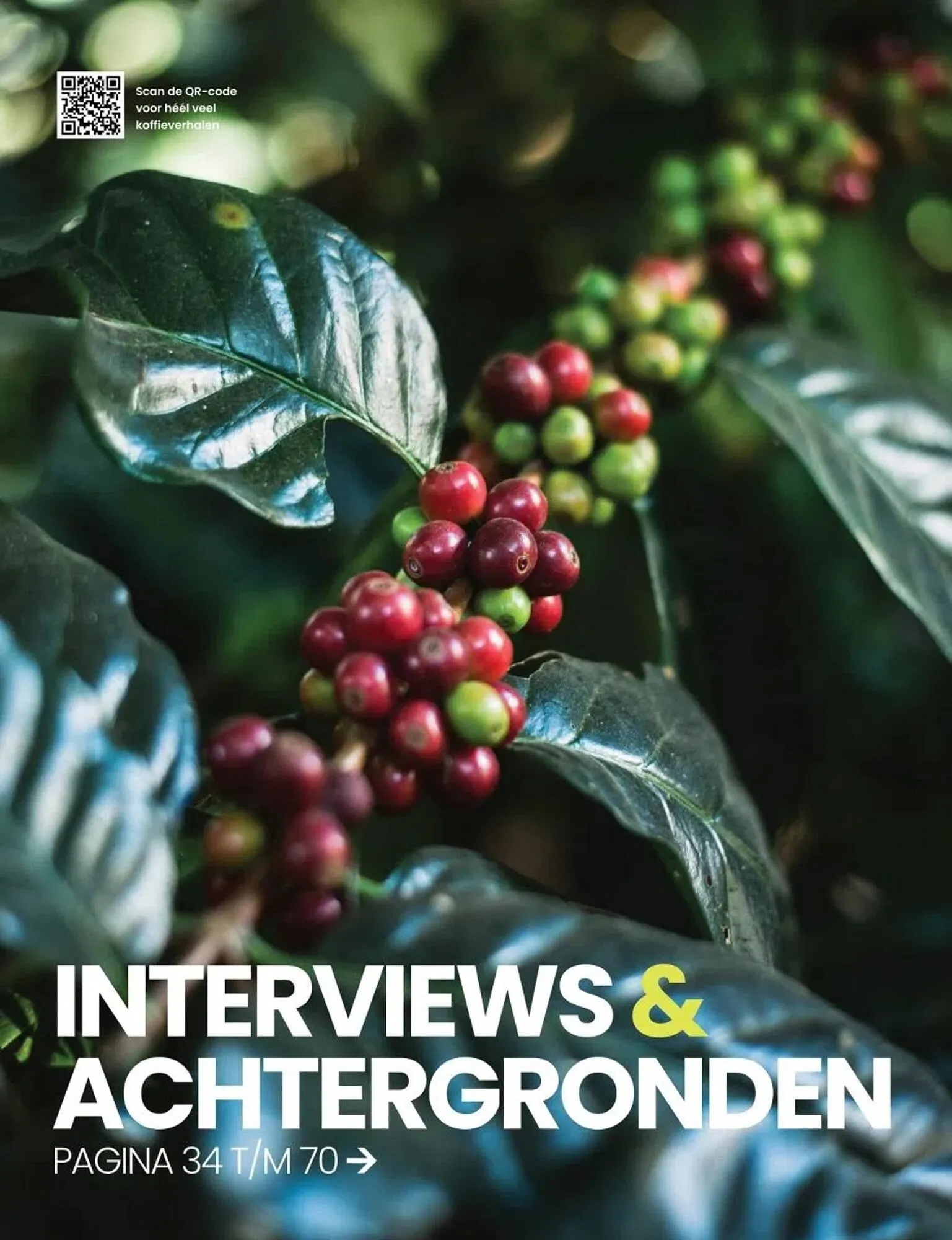 Albert Heijn folder van 27 oktober tot 31 december 2025 - Folder pagina 33