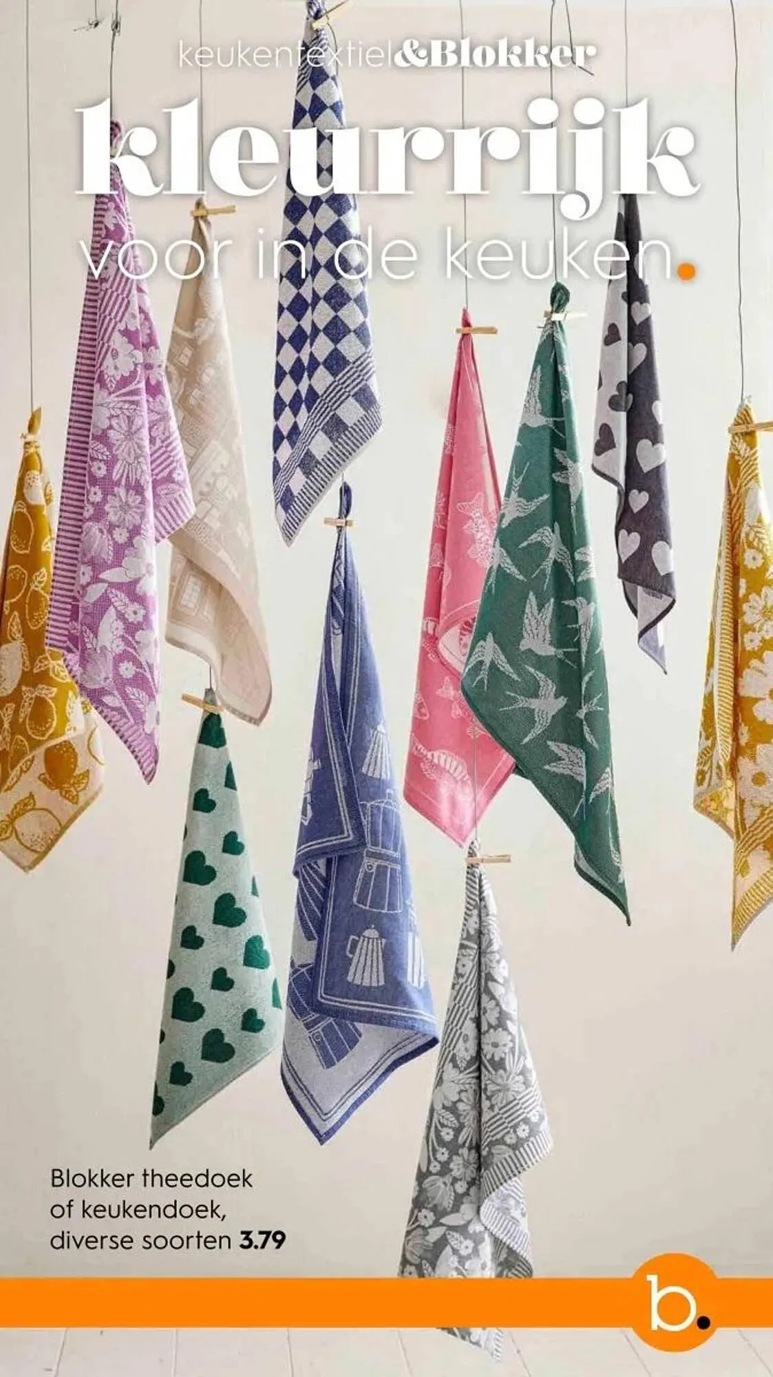 Blokker folder van 1 oktober tot 29 november 2024 - Folder pagina 37