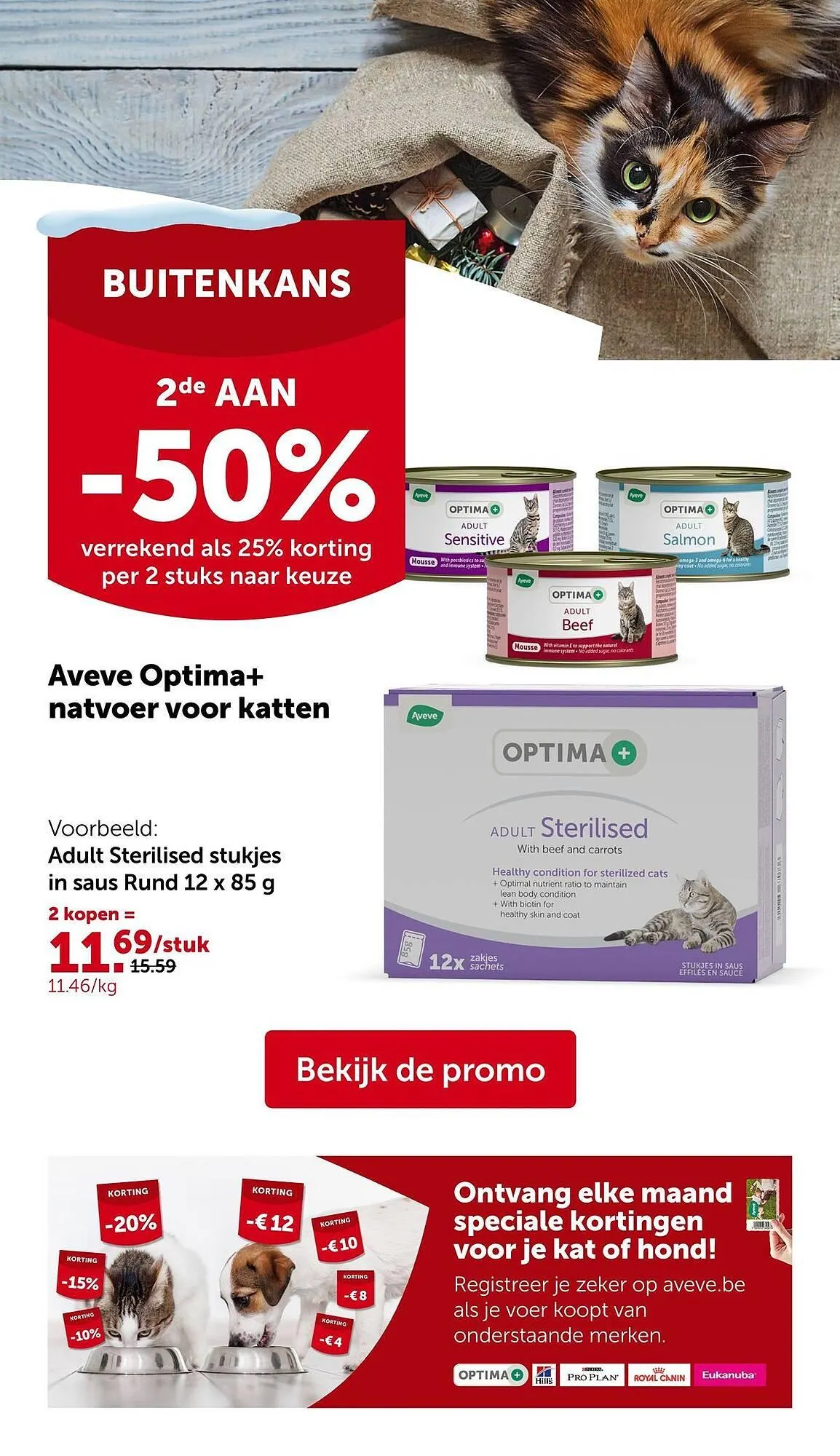 Aveve folder van 26 november tot 7 december 2025 - Folder pagina 13