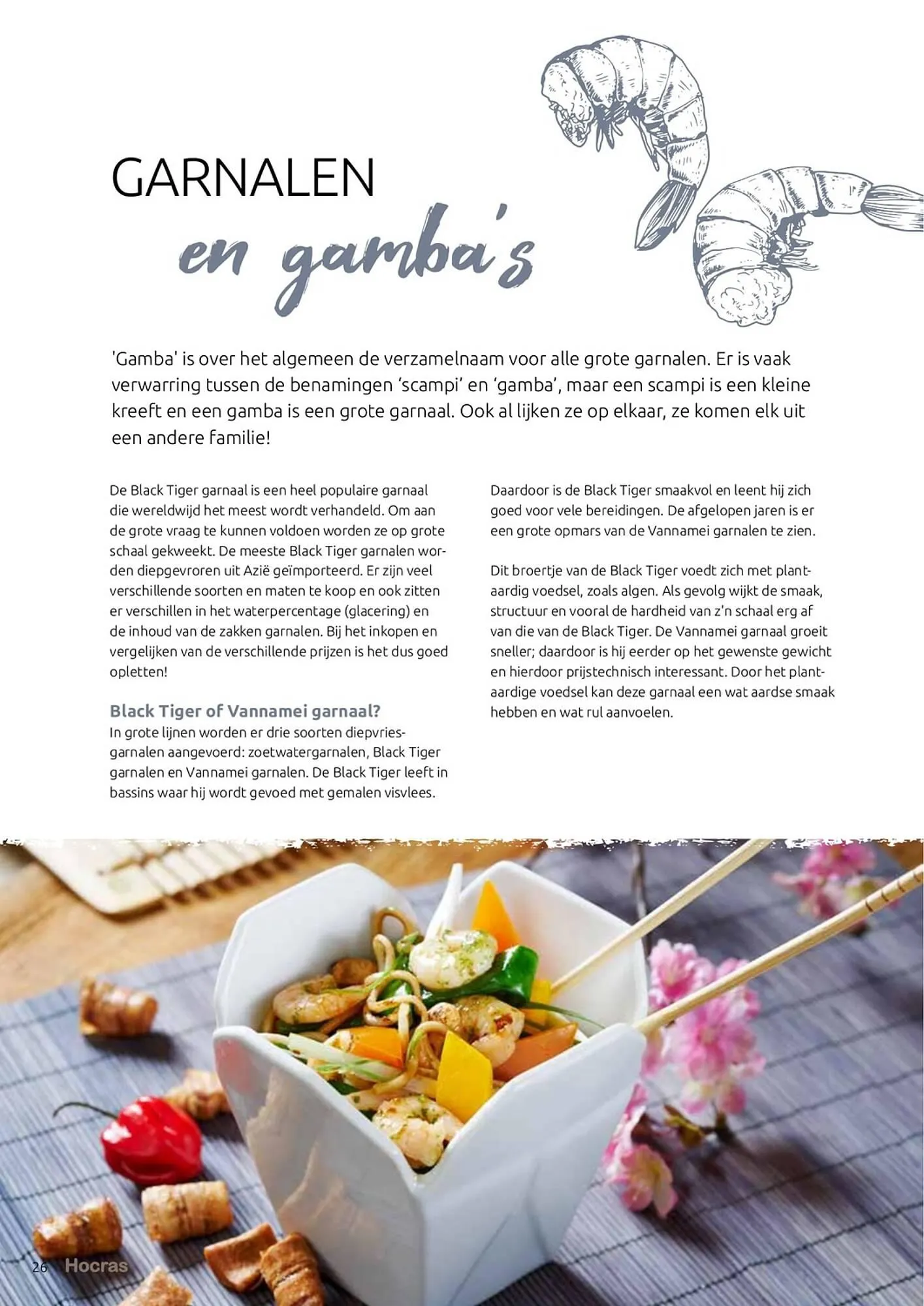 Hocras folder van 15 februari tot 31 december 2023 - Folder pagina 26