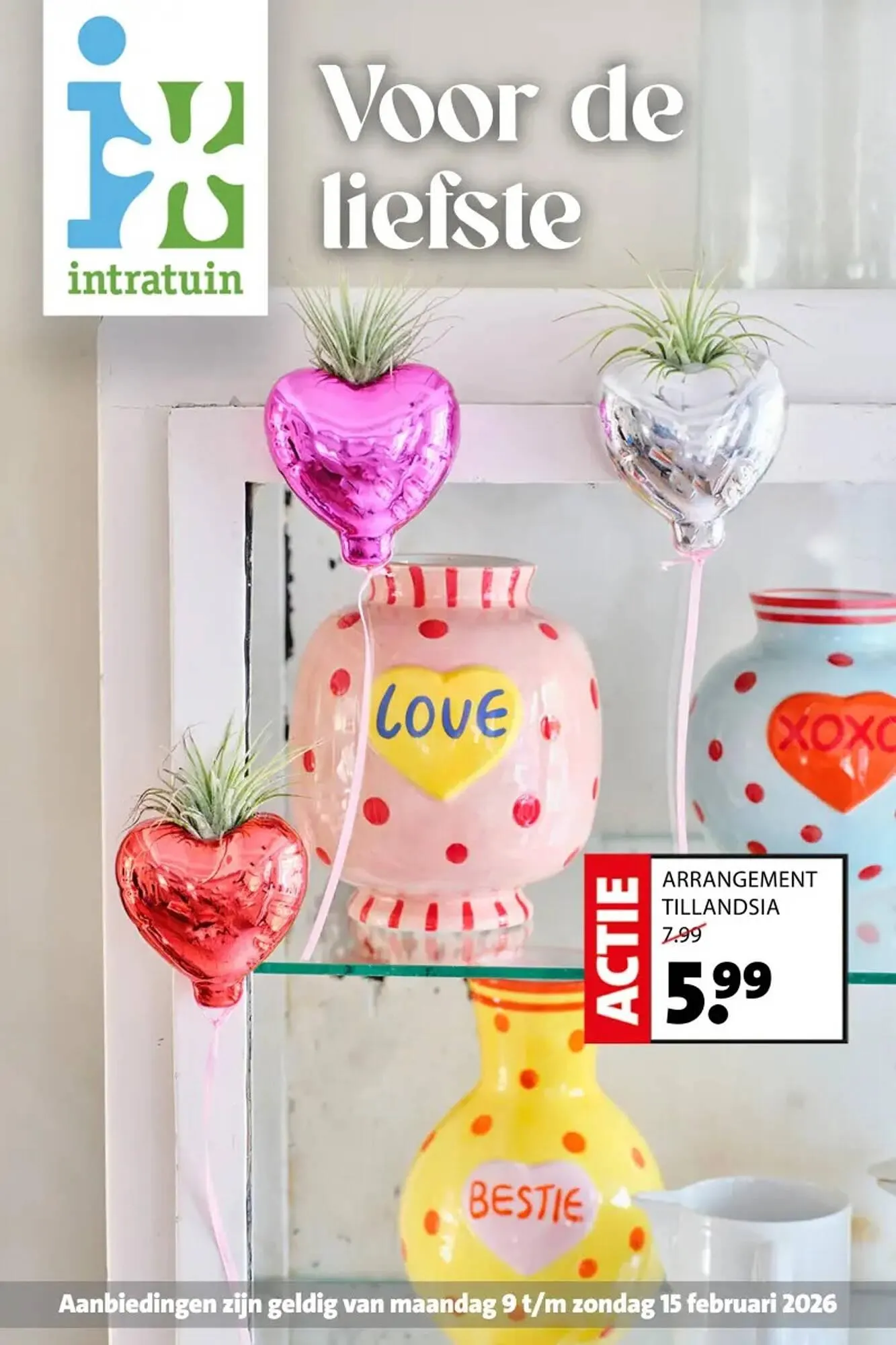 Intratuin folder - 1