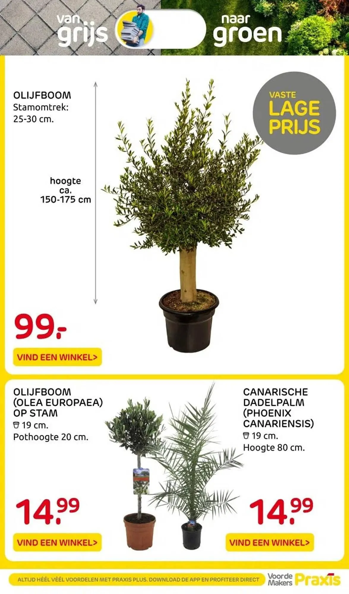 Praxis folder van 24 maart tot 30 maart 2025 - Folder pagina 15