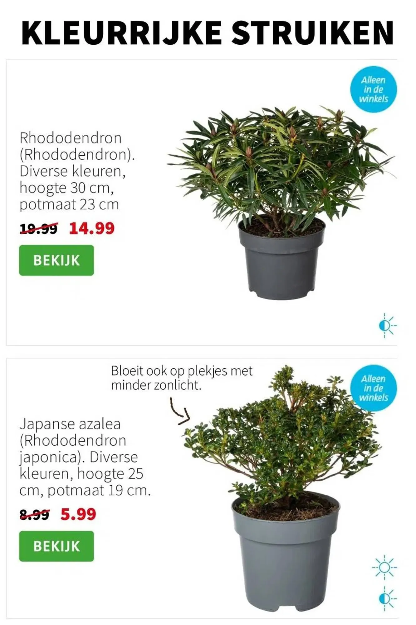 Intratuin folder van 24 maart tot 30 maart 2025 - Folder pagina 3