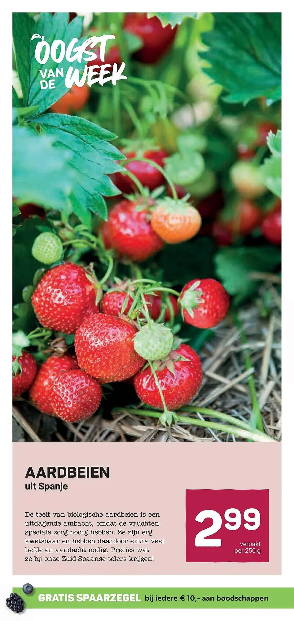 Ekoplaza folder van 2 april tot 9 april 2025 - Folder pagina 12