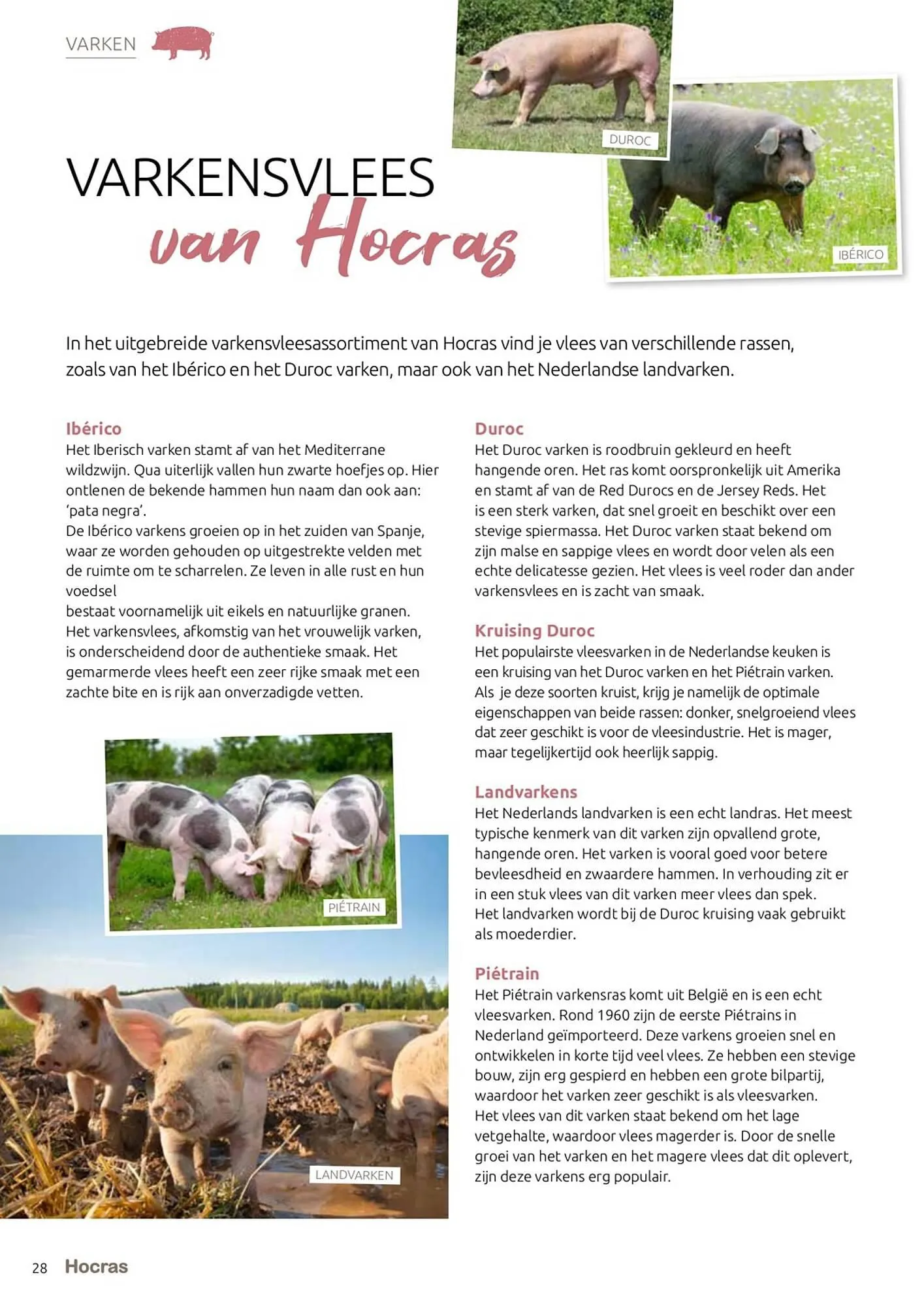 Hocras Vlees folder van 15 februari tot 31 december 2023 - Folder pagina 28
